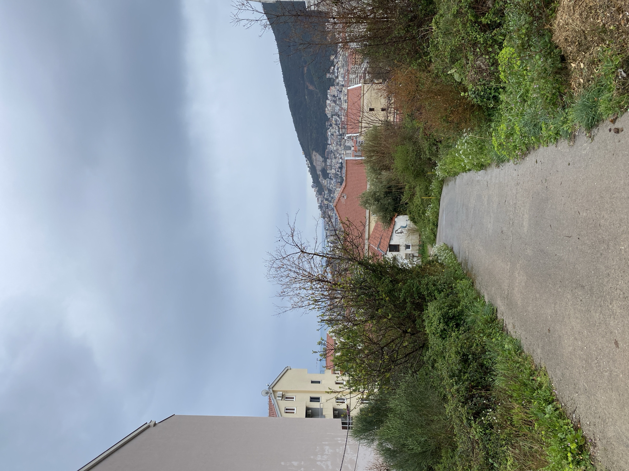 The image displays an elevated outdoor view in Budva, Montenegro, under a uniformly overcast sky. A grey, asphalt or concrete path, approximately 2-3 meters wide, occupies the lower center, curving gently to the right and descending into the midground. The path's edges are lined with dense, unkempt vegetation comprising various green shrubs, weeds, and some lighter brown, sparse foliage, with small white flowers visible on the right. No individuals or animals are present on the path.
To the left, a partial facade of a tall, light beige multi-story building with a flat roof is visible. Further into the midground, a light yellow-beige residential building with a red-tiled roof, multiple windows, balconies, and external air conditioning units is identifiable. This structure is surrounded by green trees and shrubs, some of which are bare-branched. Several other buildings with red-tiled roofs are scattered throughout the midground, partially obscured by vegetation. A sliver of the sea is visible on the distant horizon between buildings and trees on the left. On the right side of the path, further down, a white building exhibits a faded mural or artwork on its visible exterior.
The background is dominated by a large, dark green, tree-covered mountain. Numerous residential buildings, forming a dense urban sprawl, ascend the mountain's lower slopes. The sky is a consistent grey, indicative of heavy cloud cover, and no sun is visible. The overall scene suggests a residential area on the outskirts of a coastal city.