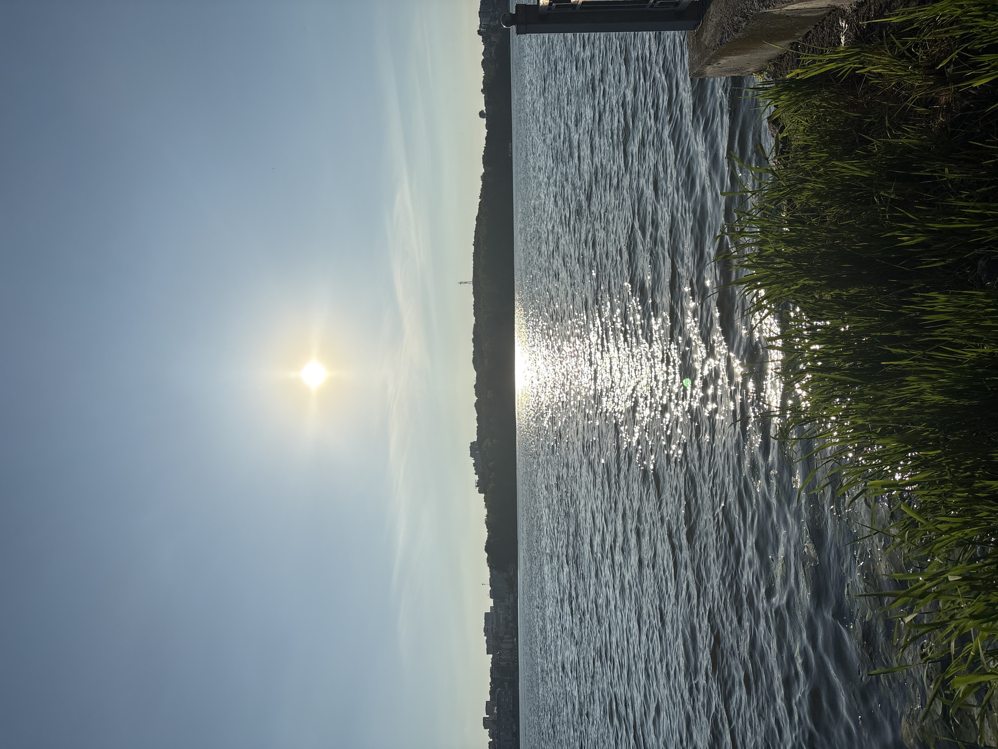 The image depicts a serene water body, likely the Ternopil Pond, with the sun shining brightly in a clear blue sky. The sun's reflection creates a shimmering path across the water's surface. In the distance, a city skyline, characteristic of Ternopil, Ukraine, is visible along the treeline on the opposite bank. The foreground shows lush green grass growing along the water's edge, with a concrete embankment and a railing on the right side of the frame. The overall scene suggests a calm and pleasant day in Ternopil.