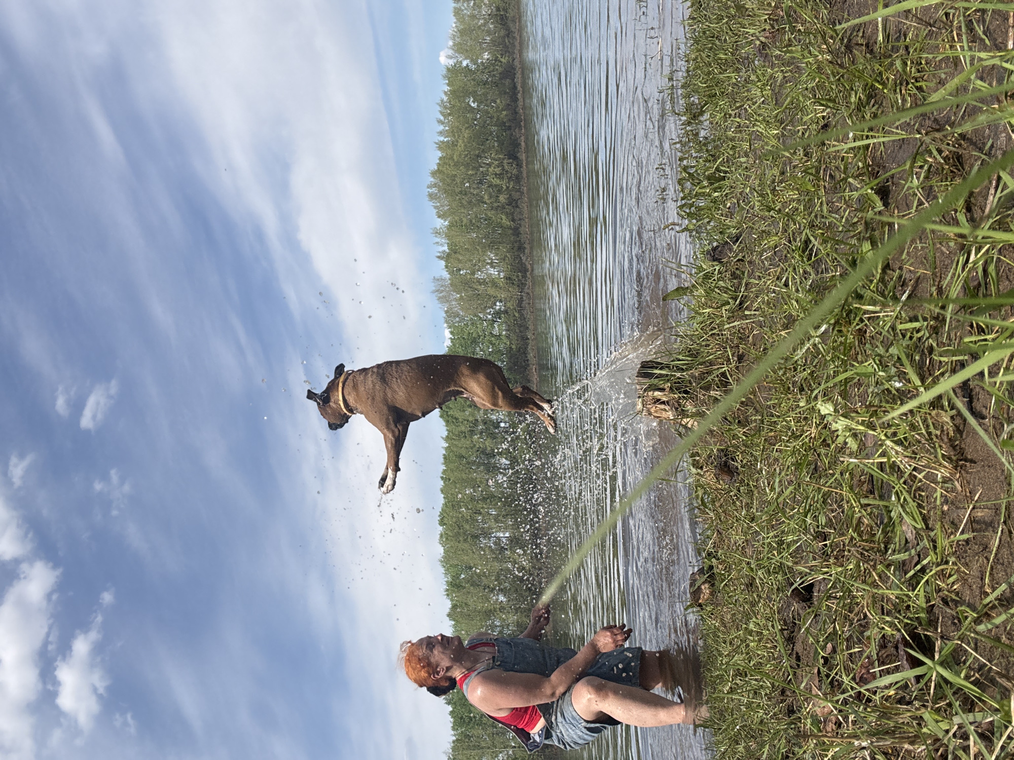 A brown Boxer dog leaps into the air over a body of water, while a fair-skinned person wearing a red shirt and denim overalls stands knee-deep in the water. The person’s hair appears orange/red. The dog wears a brown collar. A stream of water shoots from the person's hand towards the dog. The background features a tree line and a blue sky with white clouds. Grass grows along the water's edge. The location may be Chaikovsky, Russia.