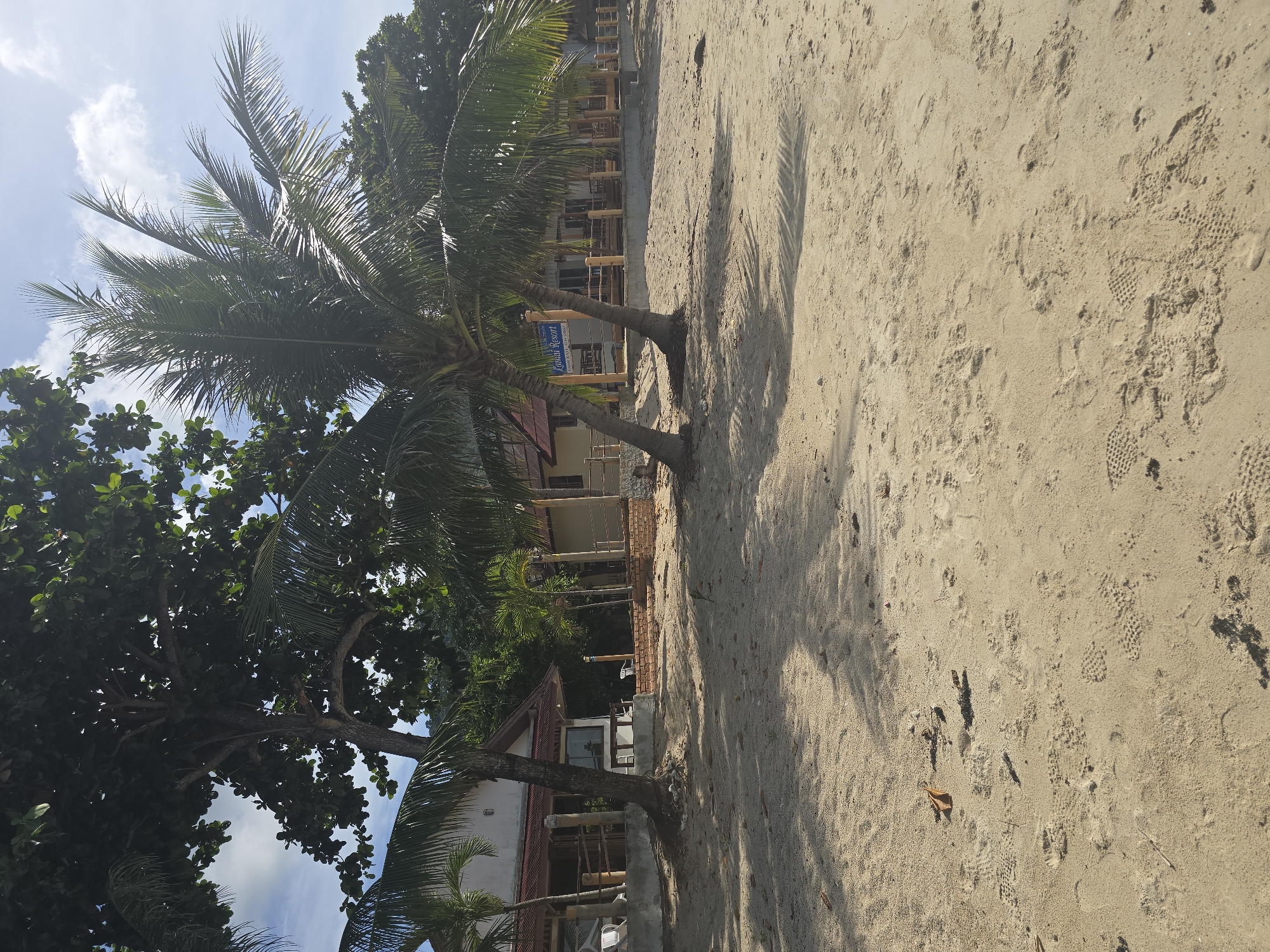 The image depicts a beach scene at Baan Lamai, Thailand, under a partly cloudy sky. In the foreground, a sandy beach is visible with numerous footprints and some fallen leaves. A sign for "Lanai Resort" is prominent, with two palm trees framing it. Behind the trees, low-rise buildings, likely part of the resort, are situated with outdoor seating areas. Lush green trees and palm fronds extend into the frame from the sides and background, suggesting a tropical environment. The overall impression is a serene beach resort setting.