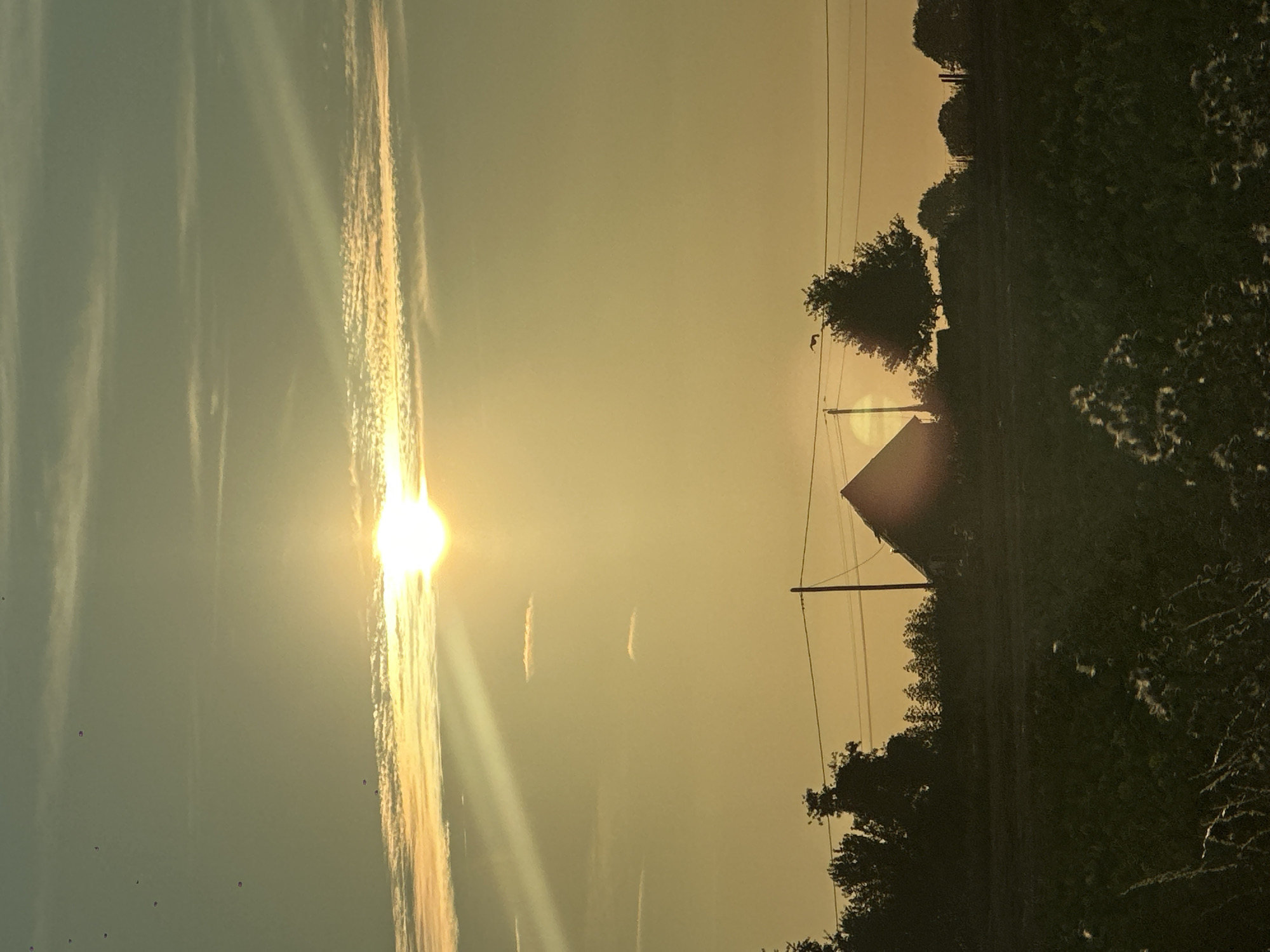 The image depicts a serene sunset over a rural landscape in Bolleville, France. The sun, a bright orb casting long rays, is positioned in the upper center of the frame, partially obscured by thin, elongated clouds. Below the sun, silhouetted against the warm, golden sky, is a small cluster of structures including a gabled building, likely a house or barn, and several trees. A utility pole with power lines runs horizontally across the mid-ground, connecting the structures. The foreground is dominated by a dark silhouette of a field, possibly agricultural, with some flowering plants visible. Several birds are scattered across the sky, adding a dynamic element to the tranquil scene. The overall atmosphere is peaceful and idyllic, characteristic of a French countryside sunset.