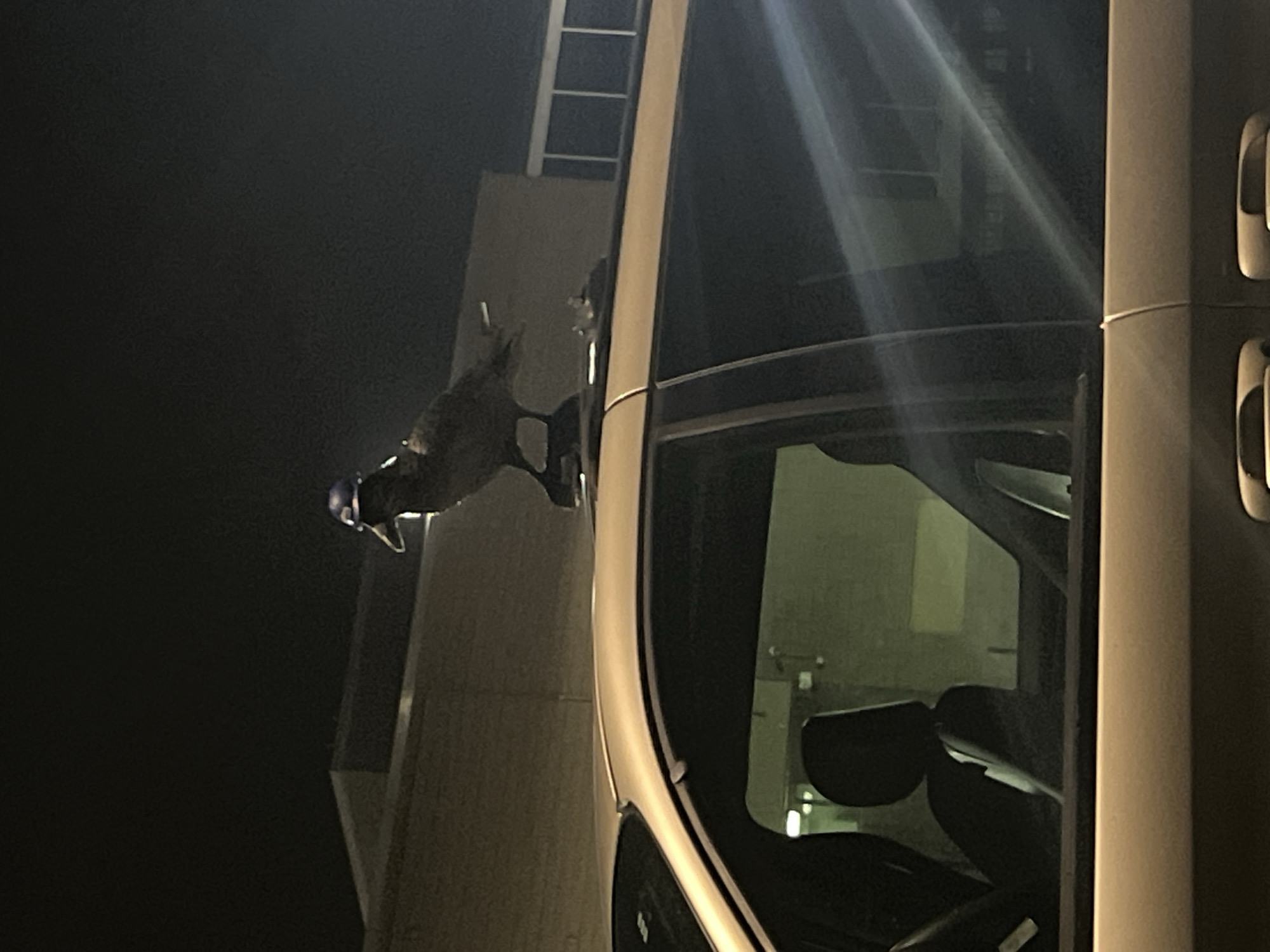 Captured at night in the City of Newburgh, United States of America, the image presents a view of the side of a white van with a ladder attached to a building in the background. A figure is seen partially visible, hanging out of the window. The interior of the van is visible through the window, showcasing a black seat. The environment is dark.
