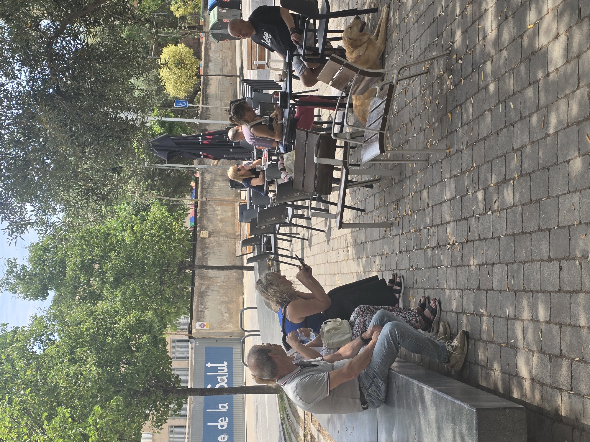 In Sant Feliu de Llobregat, Spain, several people are seated at tables outside a cafe. On the left, a man and two women are sitting on a bench. The man in the grey shirt is looking to his left. The woman in the blue top is holding a phone and looking down at it. The woman behind them is partially visible. Further back, more patrons are seated at tables. A man in a black t-shirt with the word "lee" printed on it is sitting at a table on the right, looking to his left. A light-colored dog is lying on the ground in the foreground. The environment appears to be a paved outdoor seating area with trees providing shade. In the background, a building with the words "Salut" is visible.