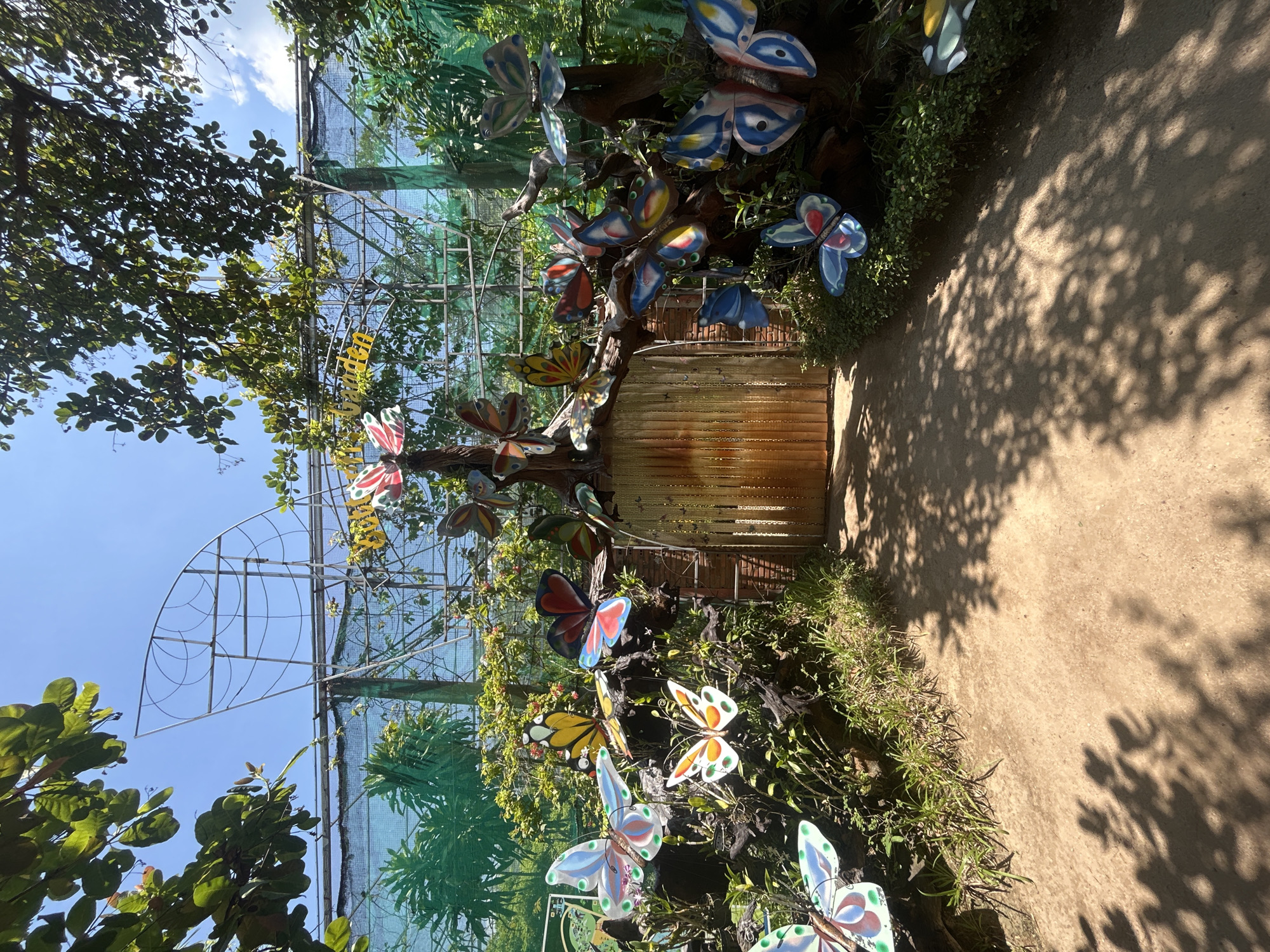 The image shows the entrance to a butterfly garden, likely a tourist attraction, with a wooden gate and elaborate butterfly decorations. The gate is partially open, revealing a glimpse of the interior. The butterflies, made of a colorful, reflective material, are artfully arranged on branches and foliage, some appearing to fly while others are perched. The garden is lush with green plants and trees, creating a vibrant and naturalistic setting. The path leading to the gate is made of dirt and is dappled with sunlight filtering through the leaves of overhead trees. In the background, a large, skeletal structure, possibly a frame for a larger exhibit or netting to contain butterflies, is visible against a clear blue sky. The overall impression is one of a whimsical and inviting natural attraction, likely designed to appeal to visitors seeking a connection with nature and artistic displays. The mention of Hoa Thang, Vietnam, suggests this is a specific location within that city.
