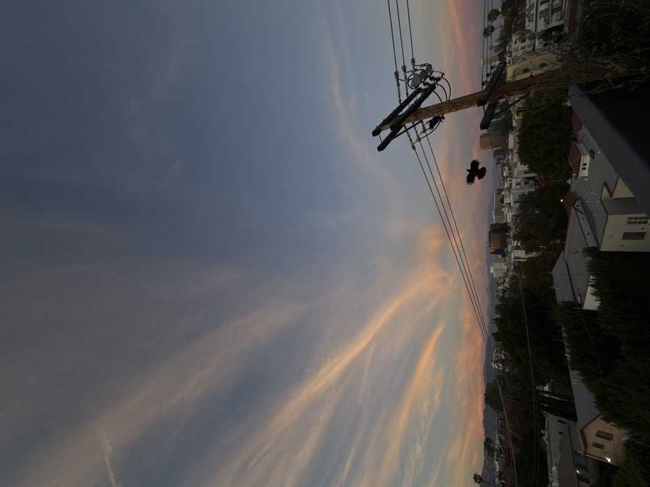 The image displays an elevated, wide-angle view of an urban landscape in Los Angeles, United States of America, observed during twilight. The sky dominates the upper two-thirds, exhibiting a gradient from light blue in the upper right to a peachy-pink and orange nearer the horizon, illuminated by an unseen light source. Prominent, elongated cirrus clouds, possibly contrails, fan outwards across the sky from the lower left to the upper center.
In the mid-ground, a dark brown wooden utility pole with multiple cross arms, insulators, and electrical conduits extends diagonally from the bottom right corner towards the center-right. Three primary power lines run horizontally across the image from this pole towards the left. A dark, indistinct avian subject, likely a crow or raven, is captured in mid-flight with outstretched wings, positioned to the left of the utility pole and beneath the power lines. The bird exhibits slight motion blur. The lower right edge shows a dark, flat surface, consistent with a balcony railing or rooftop edge.
Below the utility lines and stretching across the mid-ground and background is a dense cityscape. Numerous buildings of varying heights, from single-story residences with tiled roofs to multi-story commercial structures, are visible. The architecture is diverse, including white and off-white facades with dark windows. Abundant green trees are interspersed throughout the urban fabric, partially obscuring some structures. A hazy, distant mountain range forms the horizon line across the center of the image. No human subjects are visible.