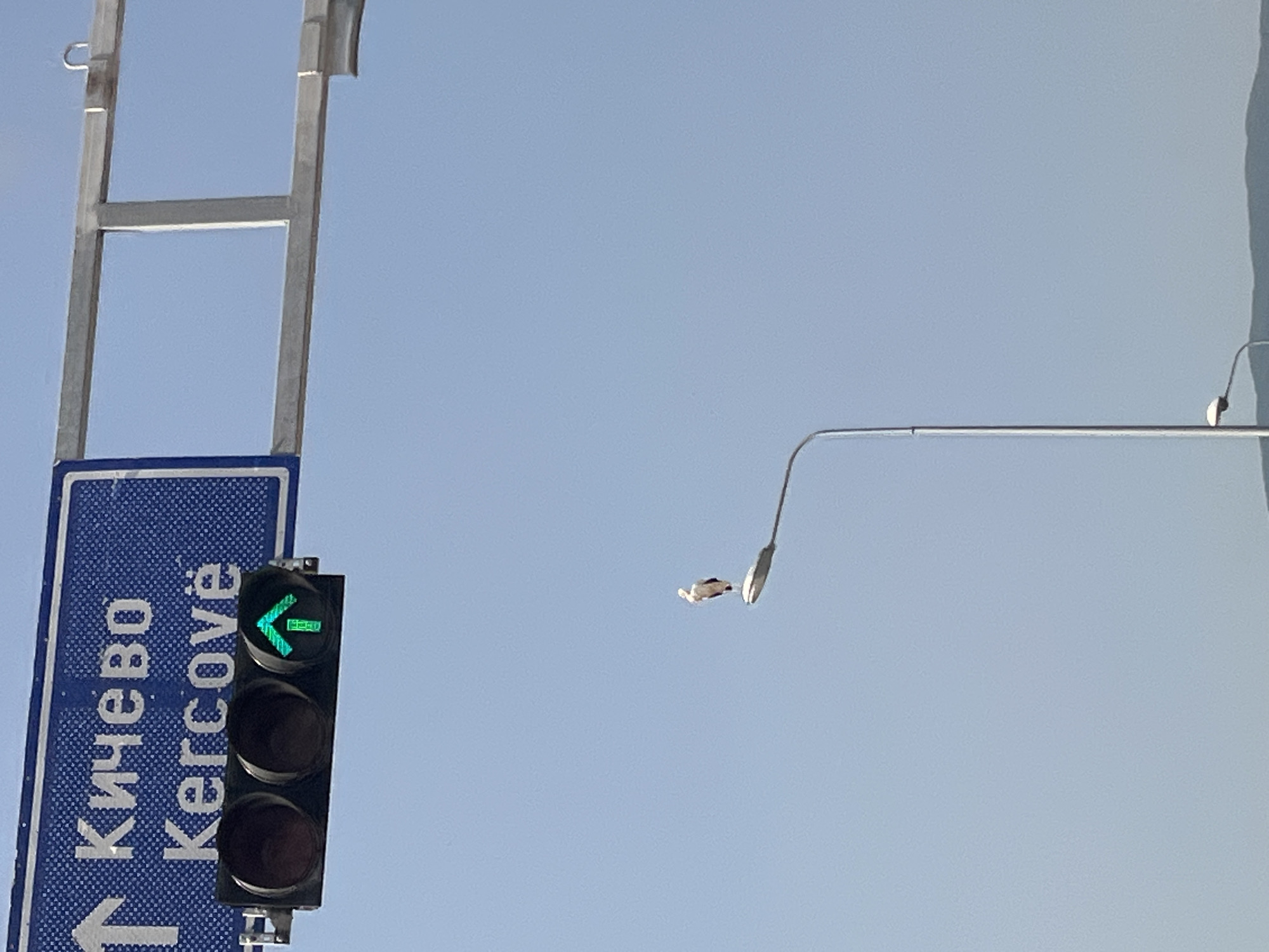 A street sign for Kichevo/Kercove with an upward arrow pointing straight ahead is visible. Below the sign is a traffic light showing a green upward arrow. A stork is perched on a lamppost to the right of the traffic light. The scene is set against a clear blue sky with mountains in the distance, likely in the vicinity of Zdunje, North Macedonia.