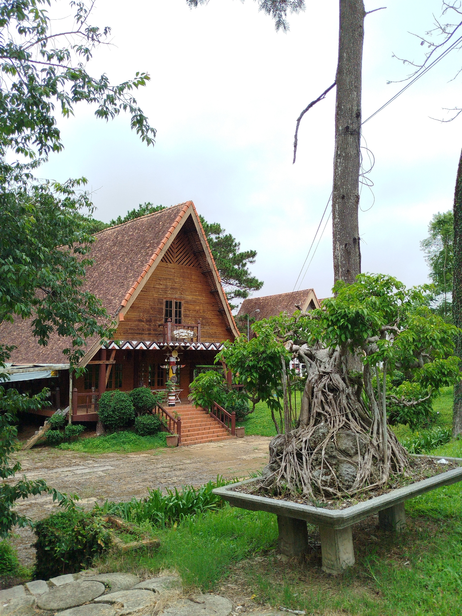 The image depicts a rustic wooden house with a pitched tile roof, situated in what appears to be a garden or park-like setting in Da Lat, Vietnam. In the foreground, a large bonsai tree with exposed, gnarled roots is prominently displayed on a stone pedestal. The house features a wooden porch with decorative elements and a set of brick stairs leading up to the entrance. Lush green trees and vegetation surround the property, and the sky is overcast. Power lines are visible running between trees in the background. The overall impression is one of a tranquil, natural environment.