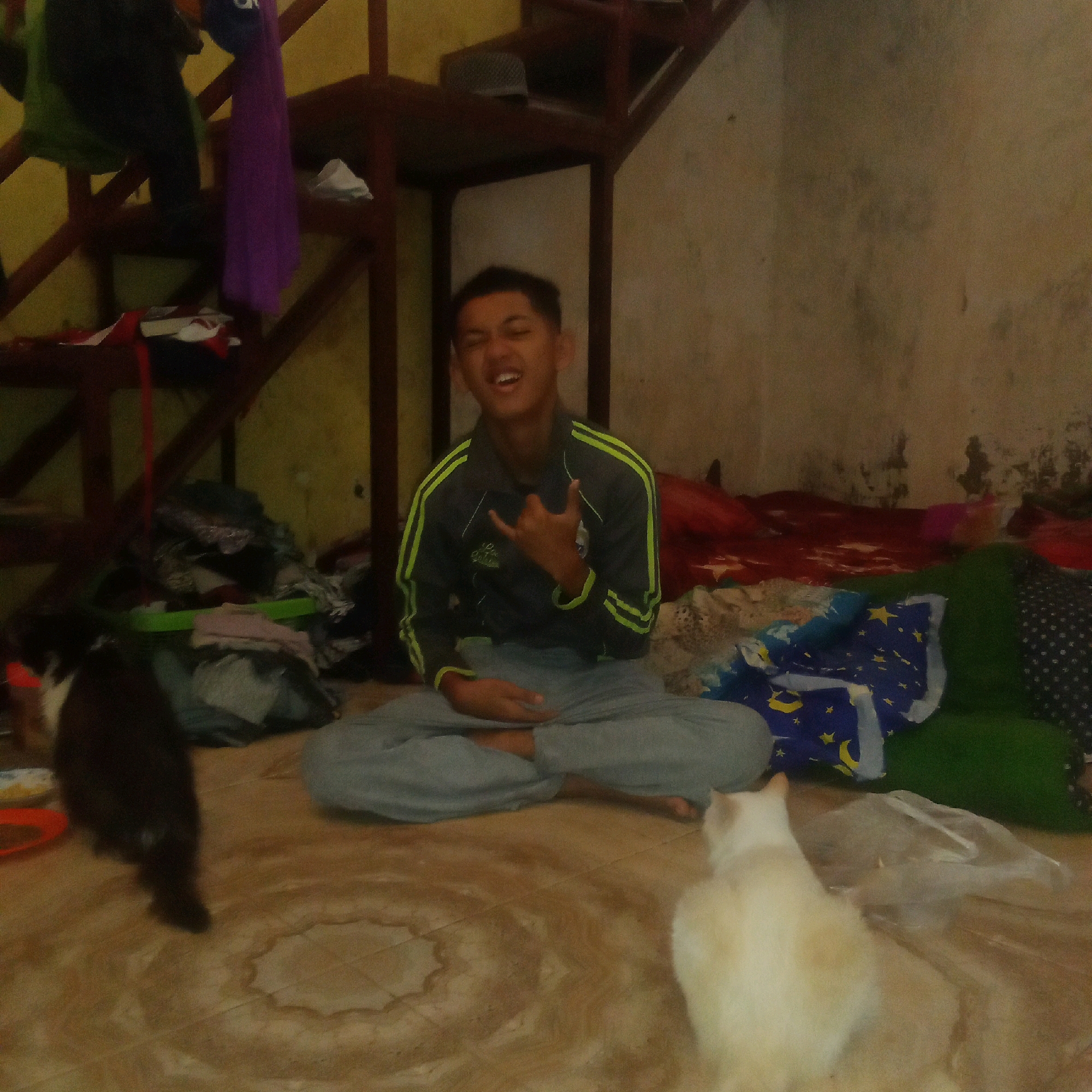 Memory