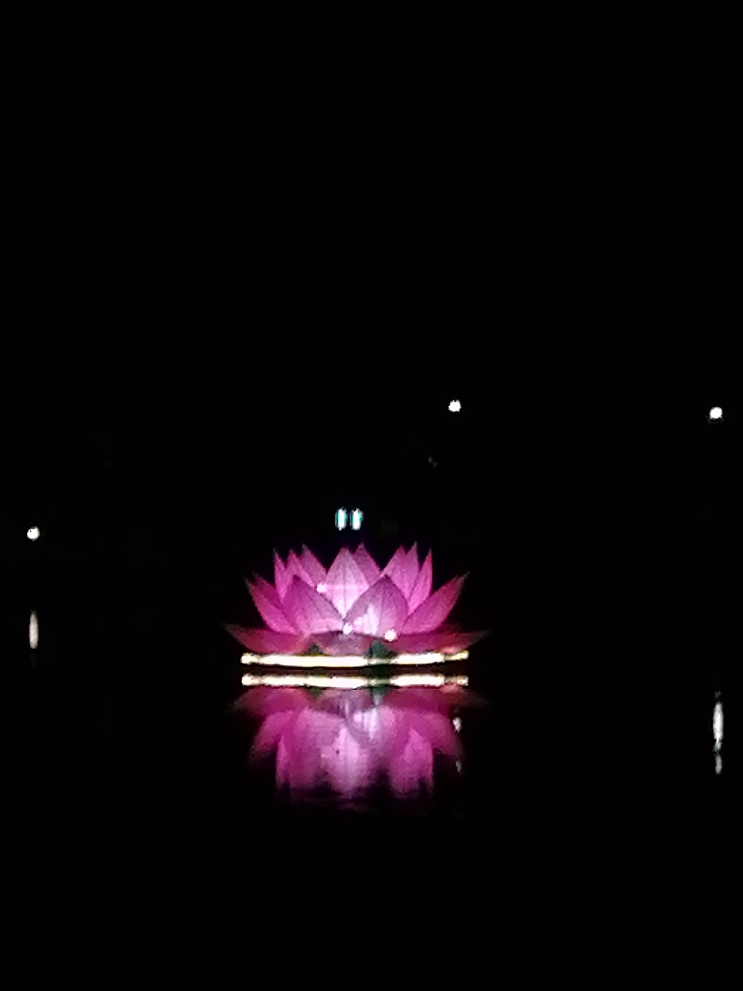 A lit pink lotus flower rests on the surface of a body of water. The flower's reflection is visible in the water. The scene is very dark, with only the lotus flower and its reflection providing illumination. The location is likely in Da Lat, Vietnam, based on the cultural association of lotus flowers with Southeast Asia. Small, out-of-focus lights are sparsely scattered across the dark background.