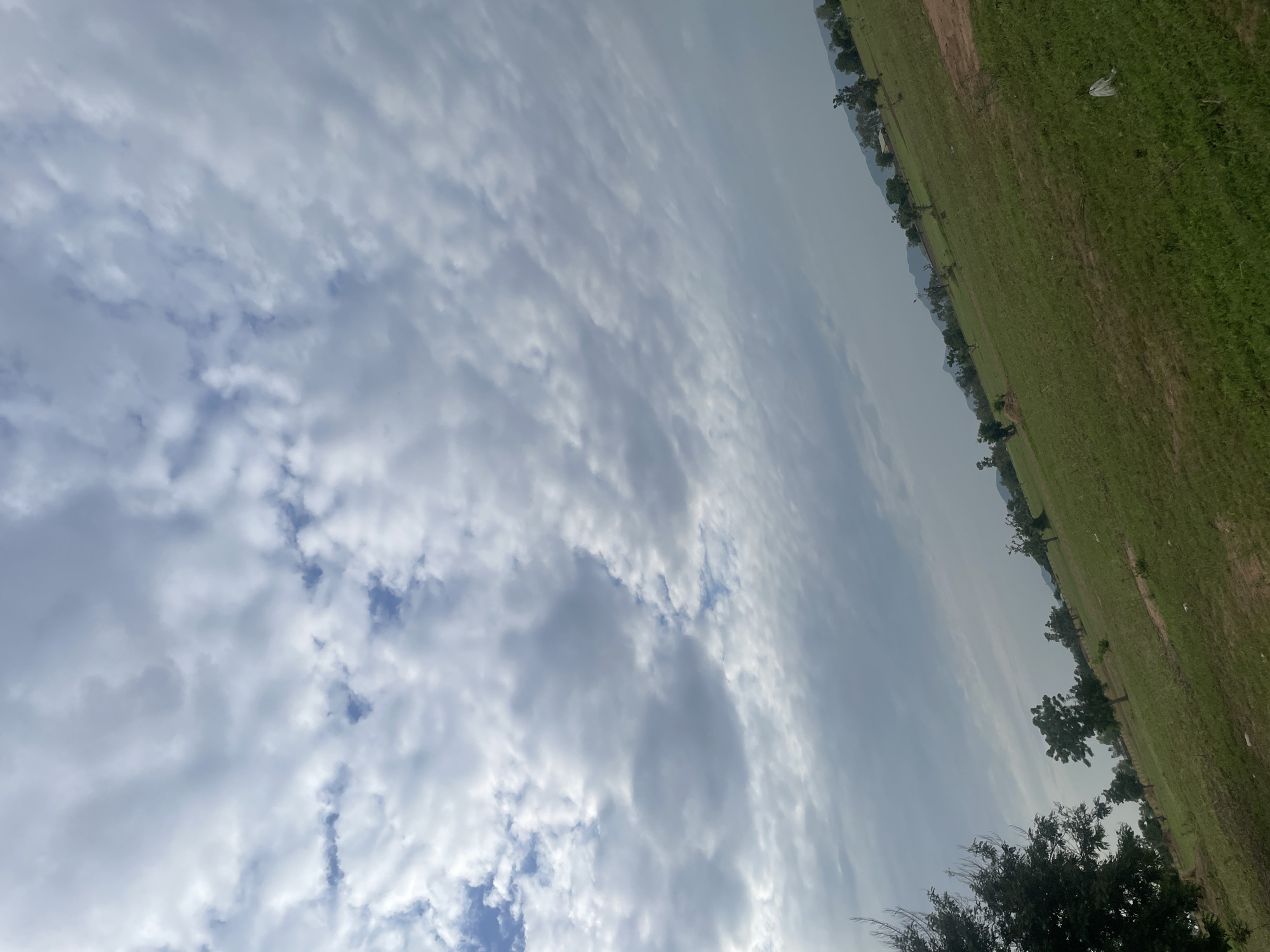 This image depicts a grassy field under a cloudy sky. The field is a vibrant green with some patches of dry grass and dirt. A line of trees runs along the edge of the field, with more trees in the foreground. In the distance, a hazy mountain range is visible. The sky is filled with a mix of white and gray clouds, suggesting overcast or partly cloudy weather. The image is oriented with the ground on the right side and the sky on the left, as if tilted.
There are no people or specific objects of interest visible in the scene, other than a white plastic bag caught on a patch of grass in the mid-right of the image. The overall impression is of an open, natural landscape, likely in a rural setting given the expanse of grassland and the distant mountains. The time of day is difficult to ascertain precisely due to the overcast conditions, but it appears to be daytime. The mood is serene and somewhat subdued due to the cloudy sky. No text is visible in the image.
The image has been rotated, so the horizon runs diagonally from the bottom right to the top left. The grassy field extends from the right edge of the frame towards the center. The sky, with its textured clouds, occupies the left and top portions of the image.