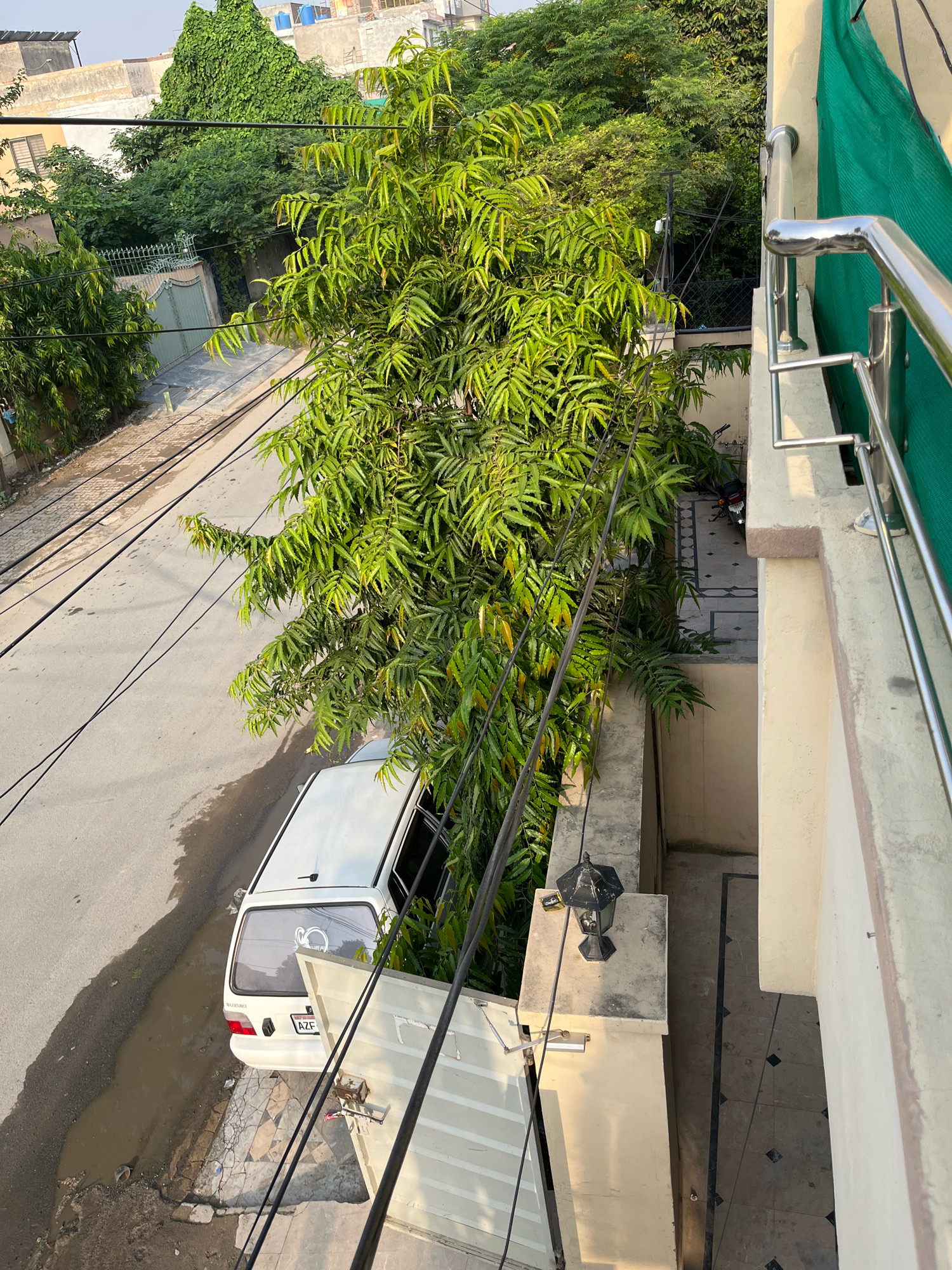 In Samsani Khui, Pakistan, an aerial view captures a street scene dominated by lush green foliage. A white Suzuki vehicle is parked on the left side of a paved road. Overhead, multiple black electrical wires crisscross the frame, casting shadows. A tall, leafy tree with vibrant green leaves grows prominently in the center, partially obscuring a light-colored building with a metal railing on its right side. The building features a green mesh screen to the far right. In the background, other buildings and trees are visible. The ground surface near the parked car appears wet and partially flooded.
