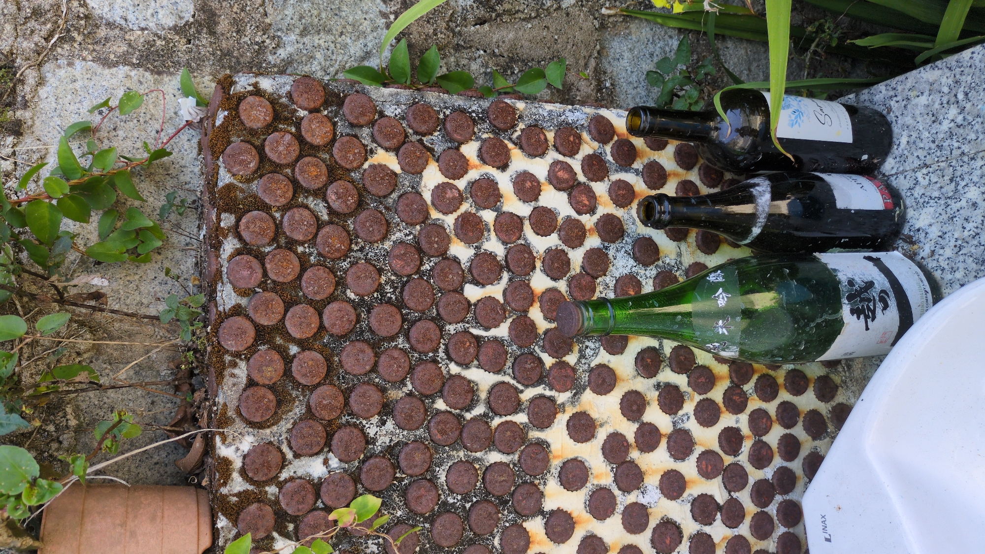 The image presents a collection of rusty bottle caps neatly arranged on a rectangular concrete surface, which appears weathered and aged. Three glass bottles of differing colors (green and dark brown) and labels are lying on top of the bottle caps on the right side of the concrete surface. To the left, the concrete surface borders a stone wall, and a potted plant is visible nearby. Additional foliage is seen around the concrete surface. The overall setting appears to be an outdoor area, likely a garden or courtyard in Da Lat, Vietnam. A white object with "NAX" lettering is present on the lower right corner. The precise nature or context of the arrangement is not clear.