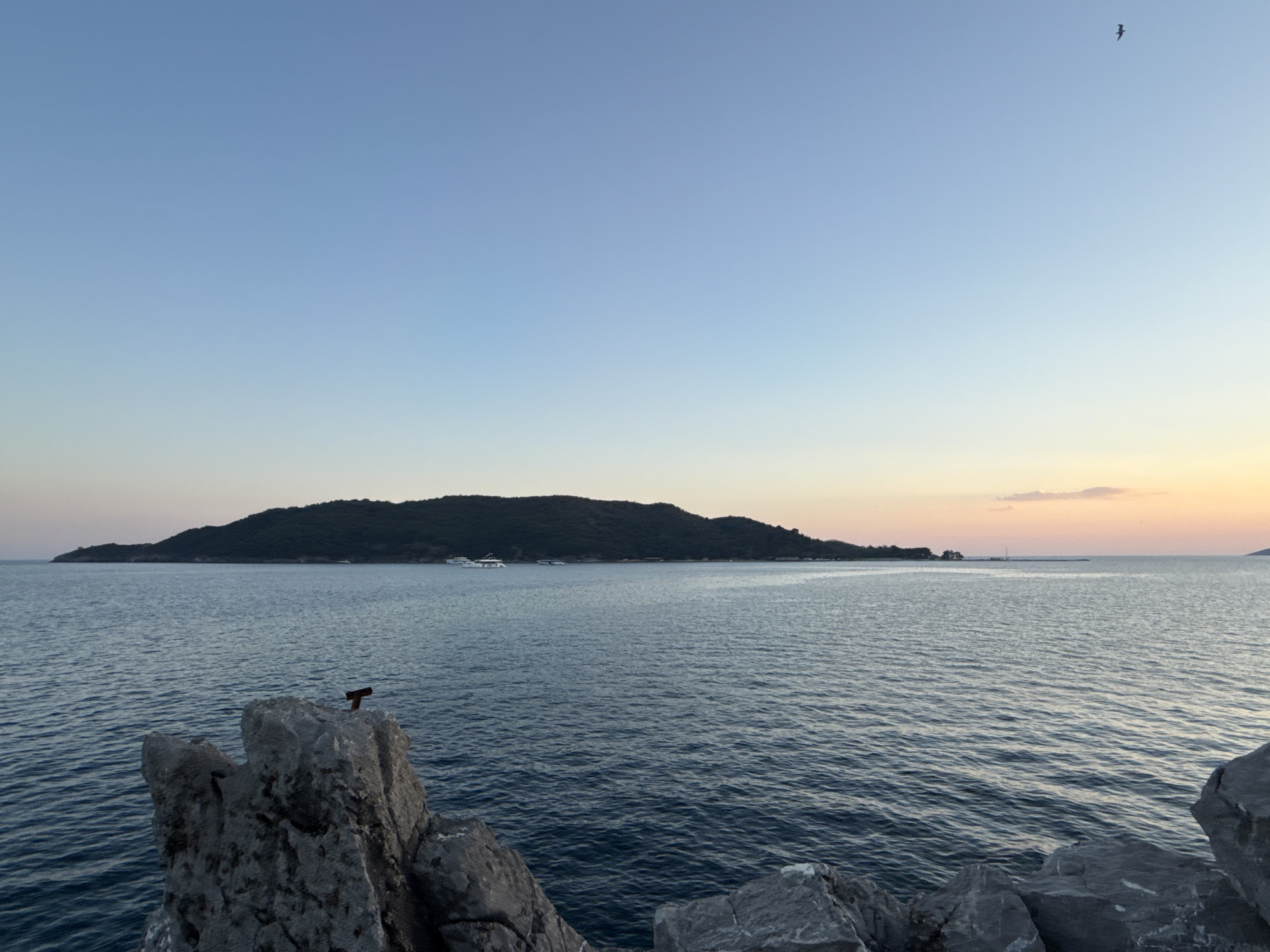 A serene seascape captures the twilight hour near Budva, Montenegro. The sky transitions from a clear, soft blue to hues of pale orange and pink along the horizon, where a distant island covered in dark green vegetation stands silhouetted against the fading light. The calm, dark blue sea is dotted with several white boats, appearing as small specks on the water. In the foreground, jagged gray rocks dominate the lower part of the frame, their rough textures catching the dim light. A small, dark object, possibly a piece of driftwood or a man-made structure, is perched precariously on one of the rocks. A solitary bird is captured in flight against the vast expanse of the sky, adding a dynamic element to the tranquil scene.
