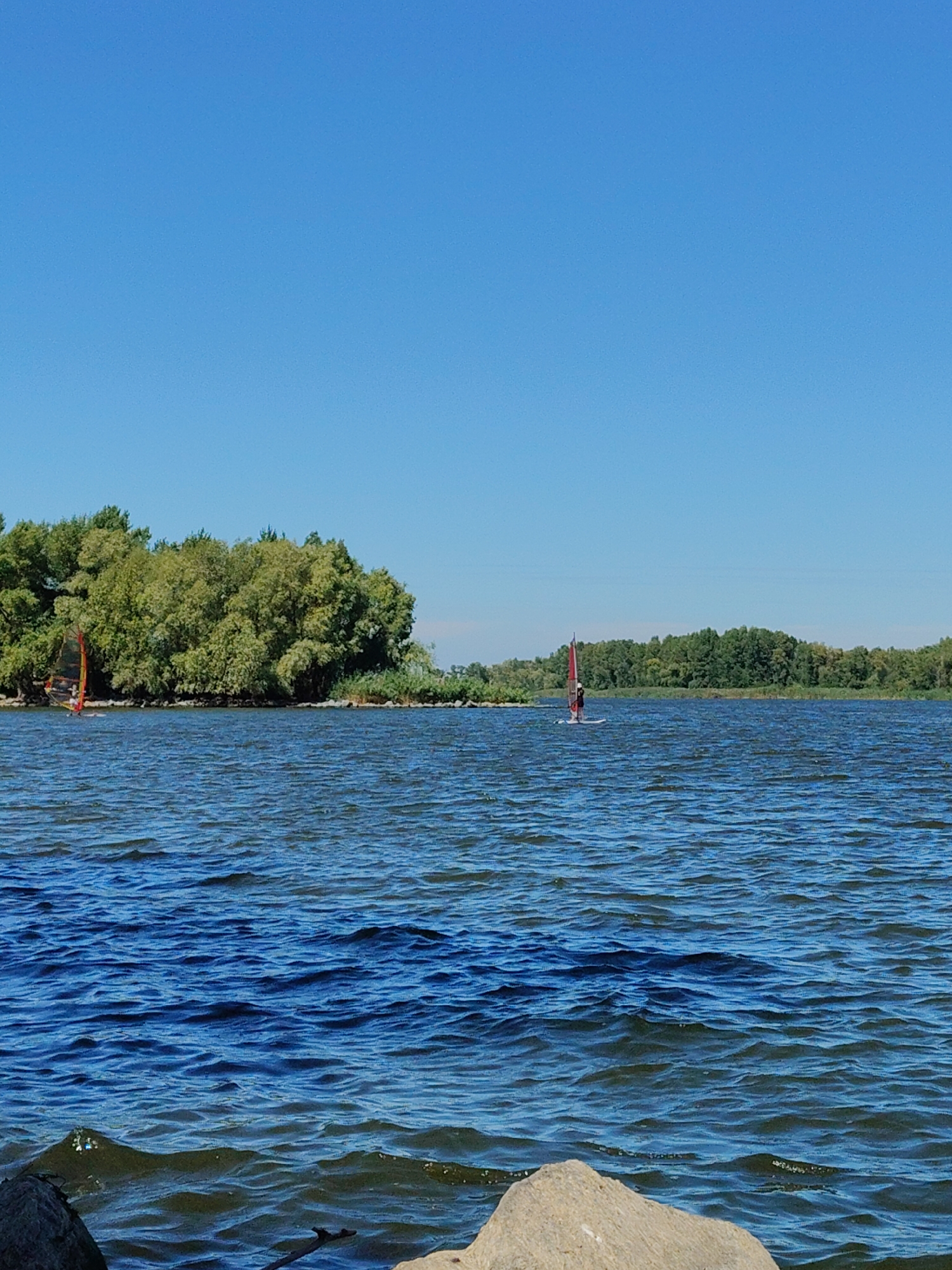 This is a wide shot of the Kremenchuk Reservoir near Cherkasy, Ukraine. The sky is a clear, bright blue, and the water is a deep blue with visible ripples. On the left side of the image, there is a group of dense green trees on a small island or peninsula. In the water to the left of the trees, a person is windsurfing with a red sail. Further to the right in the water, another person is windsurfing with a red sail. The background on the right is also lined with trees. In the foreground, a large, light-colored rock is visible on the lower right corner of the image. The scene suggests a recreational day on the water.