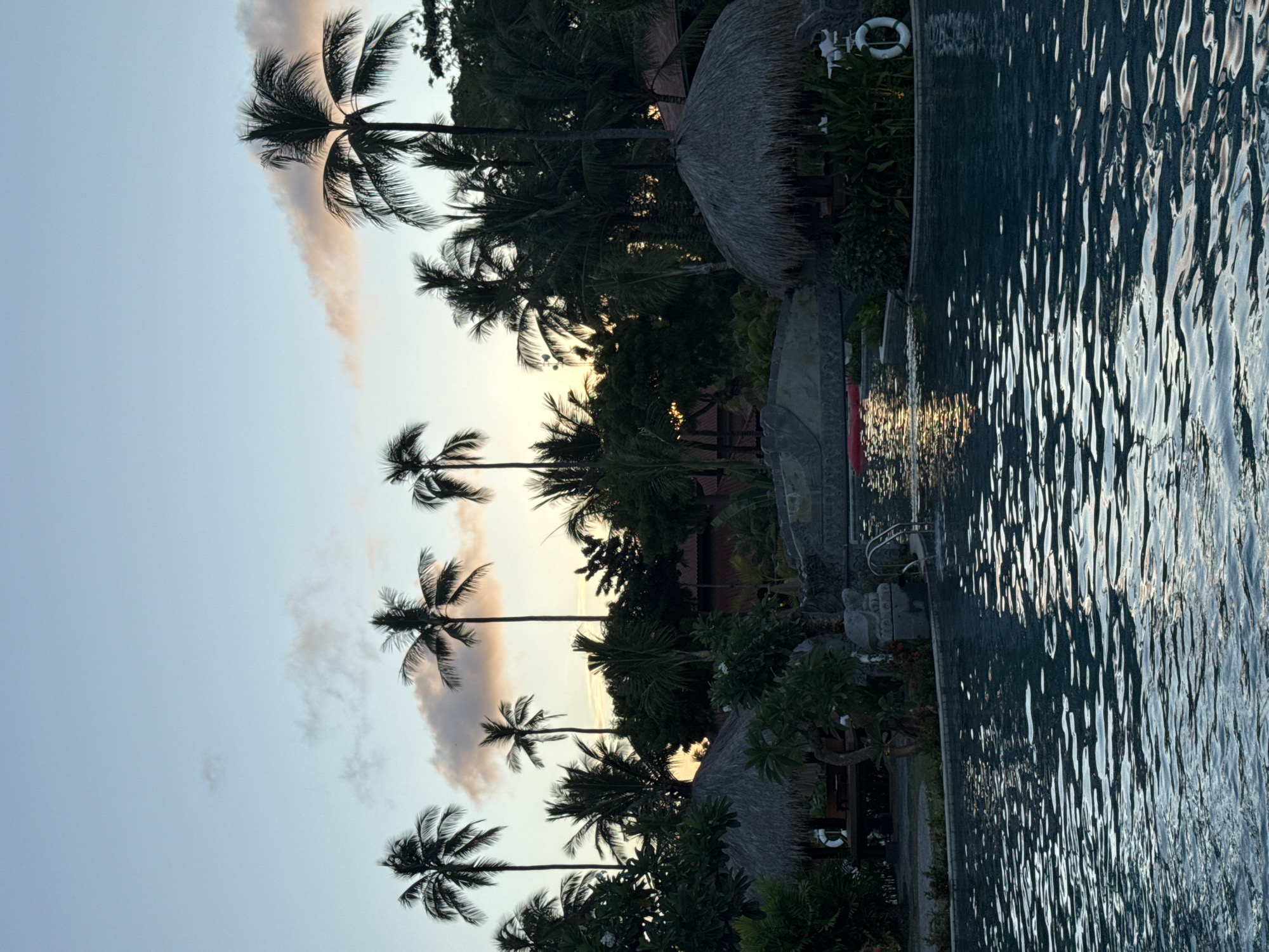 Here is a description of the image:
This outdoor scene appears to be a tropical resort location, likely in Unknown, Indonesia, based on the lush vegetation. A row of palm trees is silhouetted against a sky with soft, pink-tinged clouds, possibly indicating dawn or dusk. A body of water, likely a swimming pool, is on the right side of the frame, with light reflecting on its surface. Some structures with thatched roofs are visible among the trees, suggesting traditional-style buildings. The atmosphere is calm and serene.