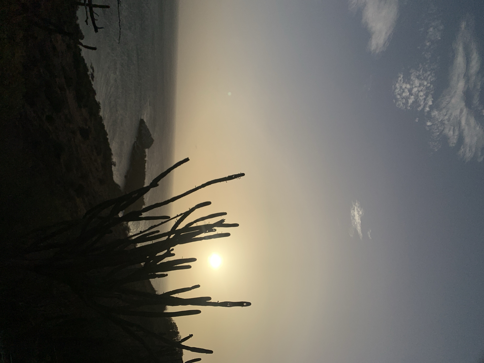 The image captures a serene coastal landscape at either sunrise or sunset, viewed from an elevated position. In the foreground, numerous tall, columnar cacti are silhouetted against the bright sky, their dark, spiky branches extending upwards and across the left and bottom portions of the frame.
Beyond the cacti, the ocean stretches out to the horizon, appearing calm with gentle ripples visible. A dark landmass, likely a cliff or coastline, borders the water along the left side. Further out in the water, a small, dark rock formation or islet is faintly visible.
The sun, a brilliant orb, is positioned low on the horizon, bathing the sky in a warm, yellow-orange glow that transitions to a muted grey-blue higher up and towards the right. The light is diffused, suggesting a hazy or misty atmosphere. Sparse, wispy white clouds are scattered in the upper right section of the sky.
The scene is dominated by the strong backlighting, which creates stark silhouettes of the foreground cacti and the distant land, contrasting with the luminous sky and water. The overall impression is peaceful and contemplative, indicative of a natural coastal setting like Pedro González, Venezuela, during twilight hours. There are no people or discernible text in the image.
