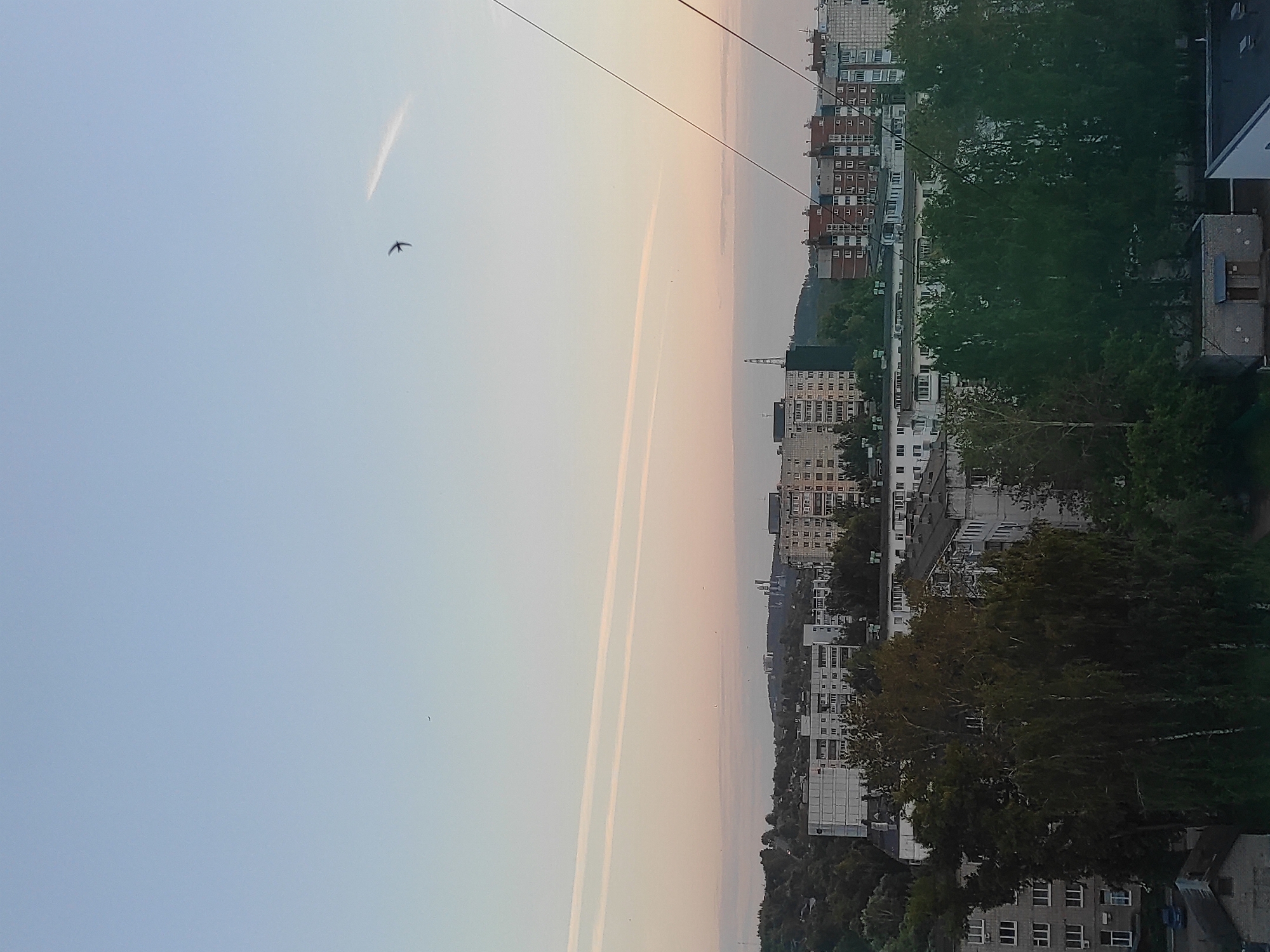 This media file shows a cityscape at dusk. The sky is a pale blue, fading to a soft pink and orange near the horizon. Two prominent contrails stretch across the sky, suggesting an airplane has recently passed. A single bird is visible in flight.
The scene depicts several multi-story buildings, characteristic of a residential urban area. The architecture suggests a European or possibly Russian setting, with consistent window patterns and building materials. Trees, mostly deciduous and full of green leaves, are interspersed among the buildings and line the foreground, indicating a temperate climate and likely springtime or summer. Power lines are visible stretching across the top of the frame.
The time of day is clearly evening, as indicated by the soft, diffused light and the colors in the sky. The overall mood is peaceful and serene, with the fading light casting a tranquil atmosphere over the city. There are no visible people or specific activities taking place, suggesting a general view of the urban environment. The location is not identifiable from specific landmarks within the image. No text is visible.