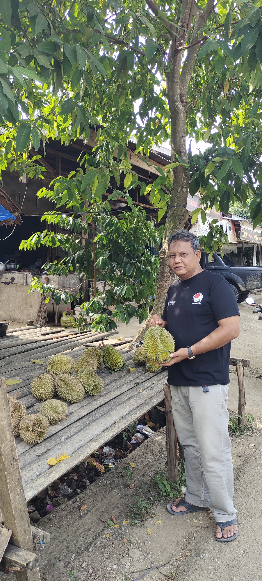 In Kilometer Delapan, Indonesia, a man stands near a wooden platform laden with durians, a thorny fruit. He is wearing a black t-shirt and light-colored pants, with dark sandals on his feet. He holds one durian in his hands, showcasing it. Behind him, a building with a corrugated roof and a black pickup truck are visible. The scene is under the shade of a tree with lush green leaves, suggesting an outdoor setting, possibly a market or roadside stall. The ground is a mix of dirt and scattered debris.