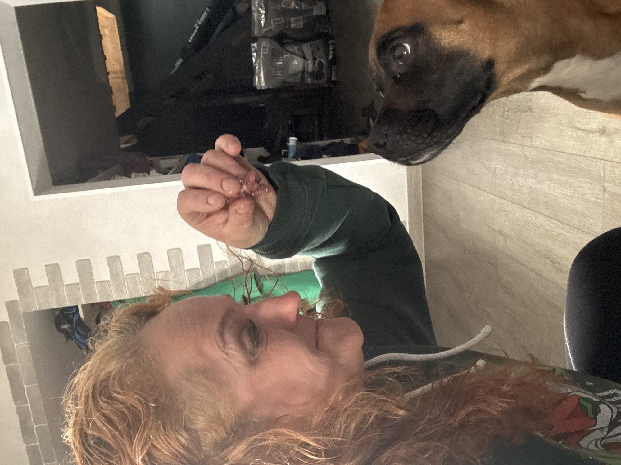 A woman with curly red hair holds a small piece of what appears to be raw meat or food in her hand, which is outstretched toward a brown and black Boxer dog. The dog is looking intently at the food in her hand. The woman is wearing a green hooded sweatshirt, and part of her black leggings are visible in the lower right corner. In the background, there is a television set and shelves. The location is unknown and can't be said to be in the city of Chaikovsky, Russia.