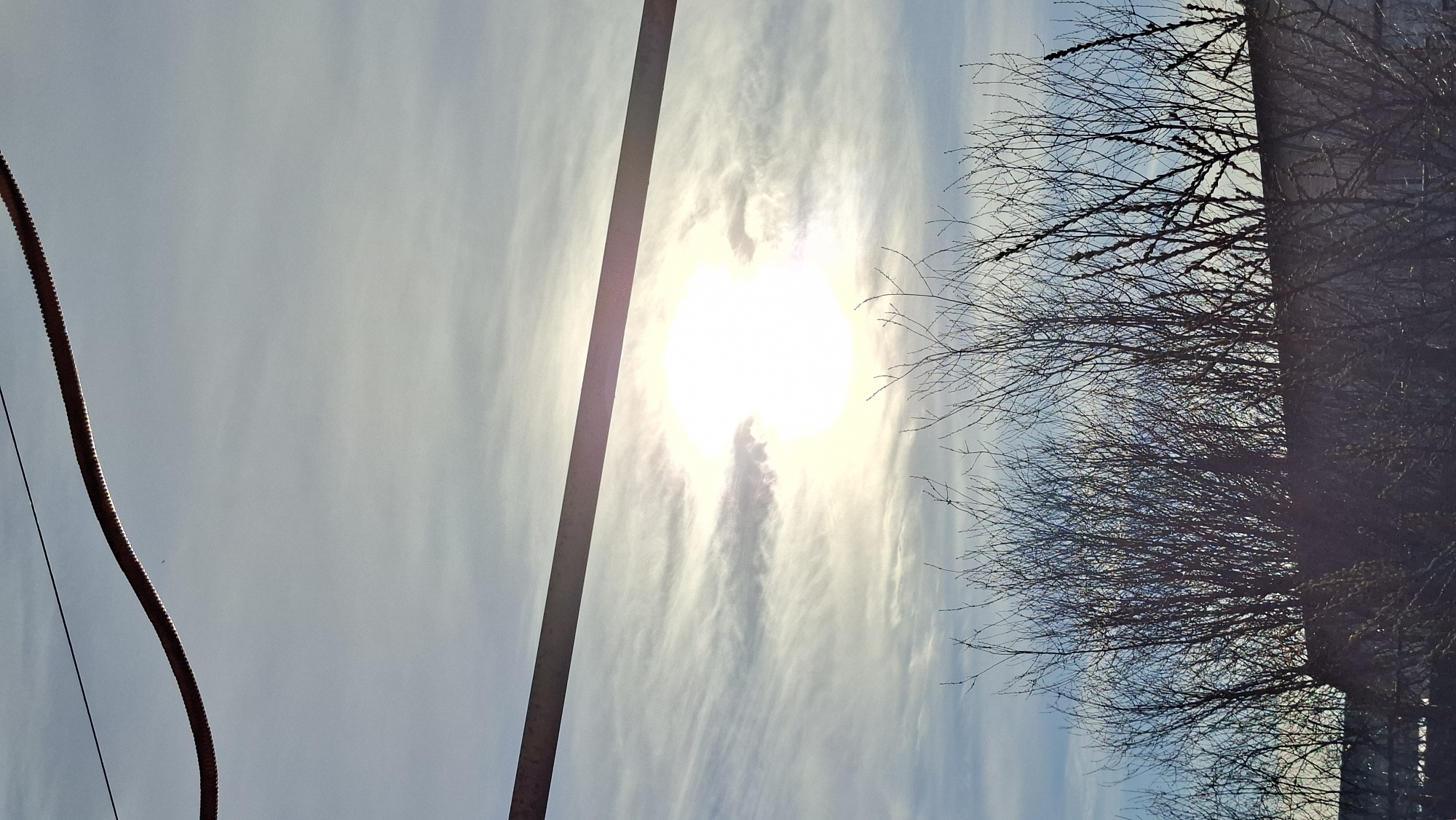 The image presents a bright daytime outdoor scene, likely captured in Большой Букор, Russia. The sky dominates the frame, displaying a light blue hue with wispy white clouds stretched across. A brilliant, slightly hazy sun, the brightest point in the image, is positioned towards the center-right, casting a strong glare and radiating light through the clouds.
Running vertically through the mid-left of the frame is a tall, dark pole or column, silhouetted against the bright sky. To its left, a prominent thick, corrugated, reddish-brown cable or hose curves diagonally from the lower-left towards the upper-left, with a thinner black wire visible beneath it. On the right side of the image, a dense cluster of bare tree branches, characteristic of winter or early spring, forms a dark silhouette against the lighter sky. These branches extend across the right edge, with a thicker mass suggesting more foliage or an adjacent structure further to the right. The overall impression is one of a clear, bright day, with man-made structures and natural elements contrasting against the expansive sky. There is no visible text.