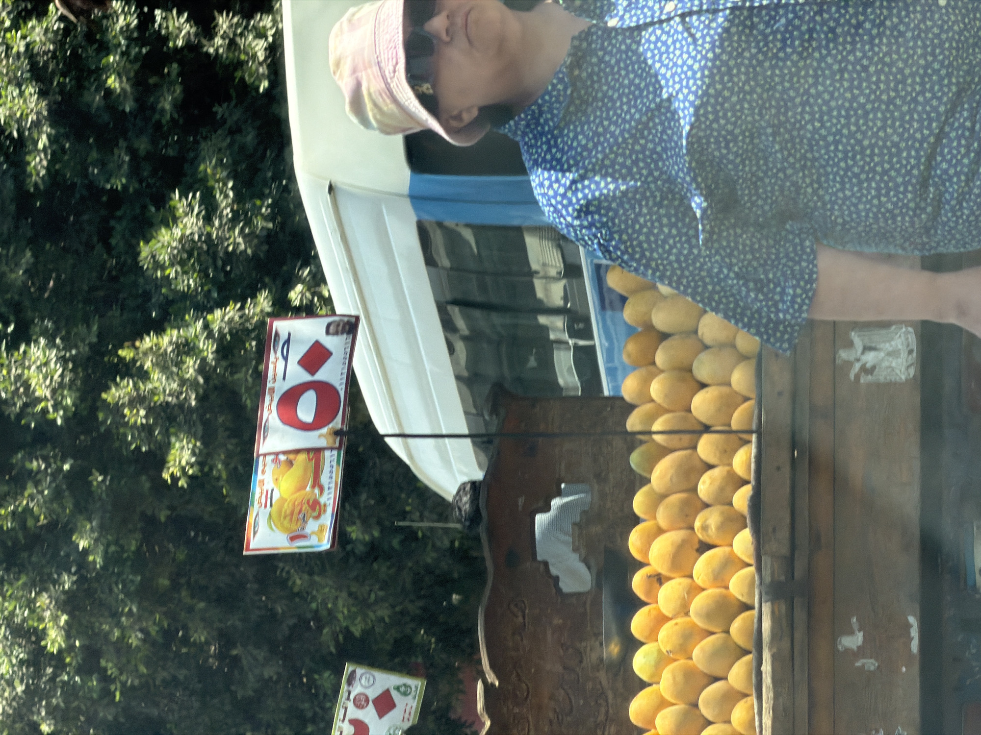 In Cairo, Egypt, a person wearing a patterned blue shirt and a light-colored bucket hat is seen standing in front of a street stall. The stall displays a large quantity of yellow fruit, possibly mangoes, arranged in rows. Behind the stall, a white bus with blue trim is visible. In the background, lush green trees form a dense canopy, suggesting an outdoor, sunlit environment. Two signs are attached to poles in front of the bus, one featuring images of fruit and Arabic text, and another with geometric shapes and text.