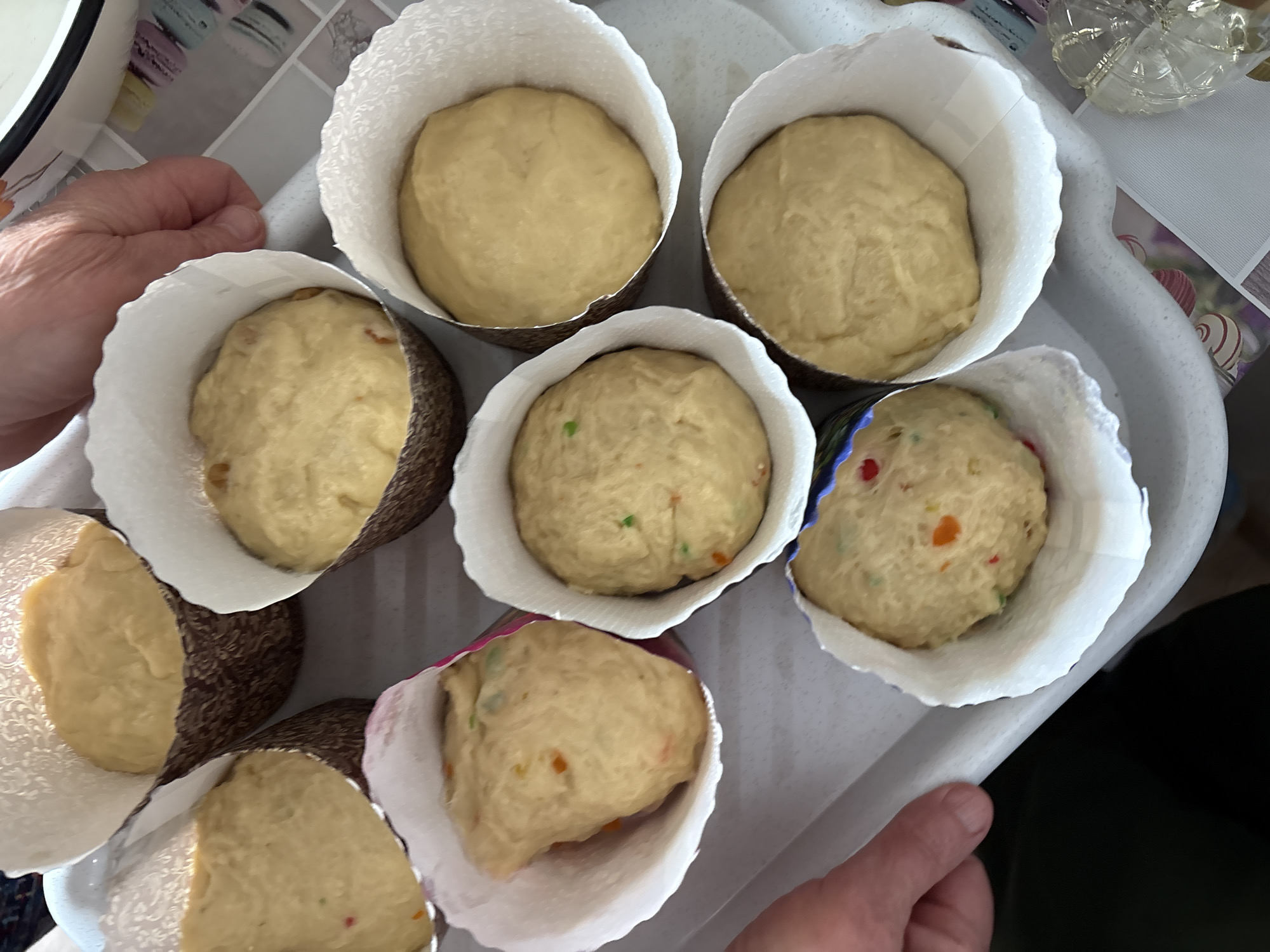 A top-down, medium shot depicts a tray containing seven paper baking cups filled with dough, likely for baking bread or pastry. The tray is being held by two hands. Some of the dough balls contain small, colorful pieces of what appear to be candied fruit or sprinkles. The background is partially visible, showing a countertop or table with a patterned surface and a glass object. There is no evidence to indicate that this image was taken in Ust-Ilimsk, Russia.
