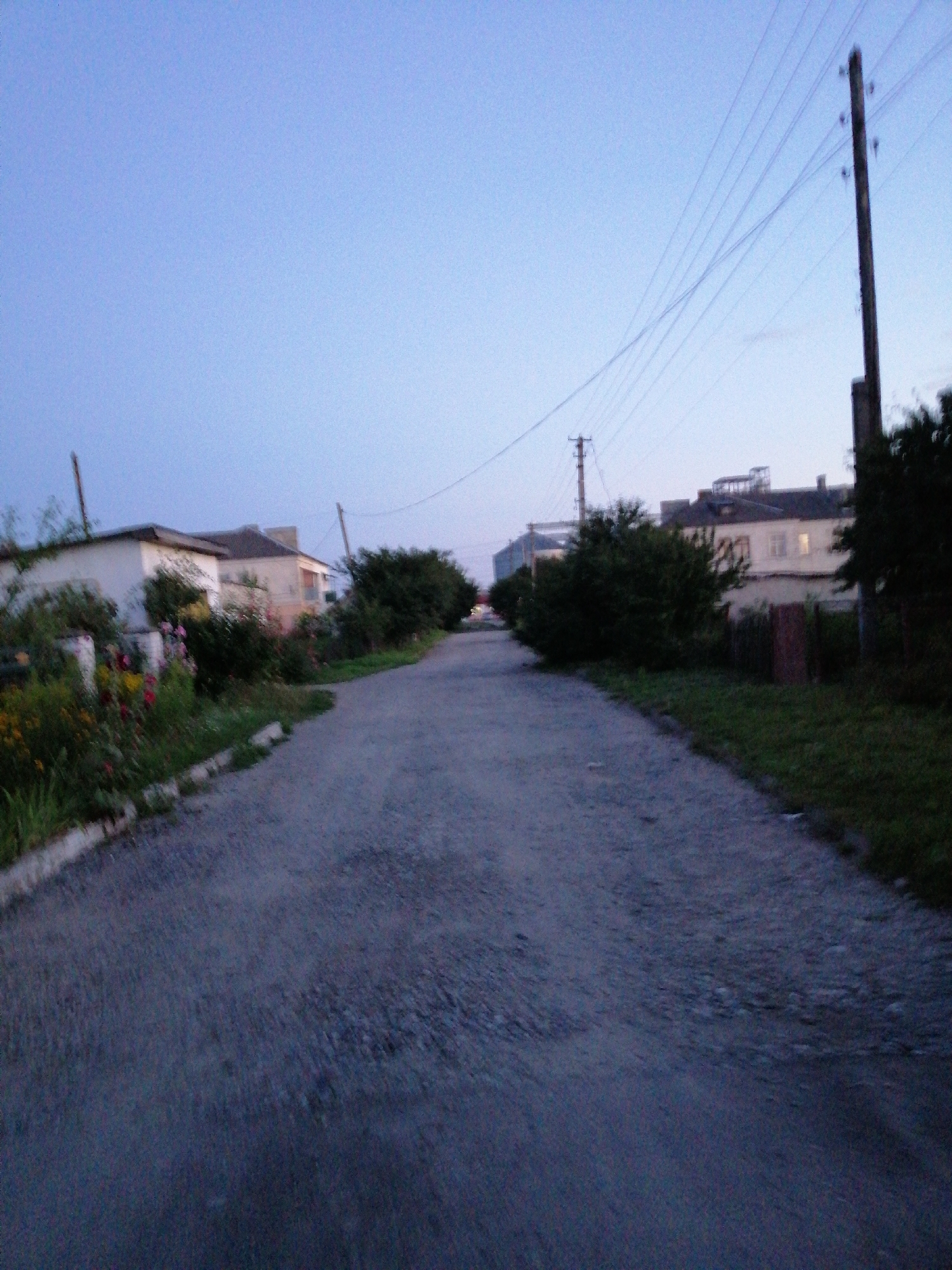 The image depicts an empty, unpaved road in the city of Lanivtsi, Ukraine, likely in a rural or suburban area. The sky is a dusky blue, suggesting it is either early morning or late evening. On the left side of the road, there are low-rise buildings and lush vegetation, including flowering plants and trees. On the right side of the road, there are more trees and a tall utility pole with power lines stretching across the sky. The buildings appear residential, with some windows illuminated. The road itself is rough and textured, with a slight upward incline. The overall atmosphere is quiet and still, with no people or vehicles visible. The presence of utility poles and power lines indicates that this is a developed area, though possibly less densely populated than a city center.