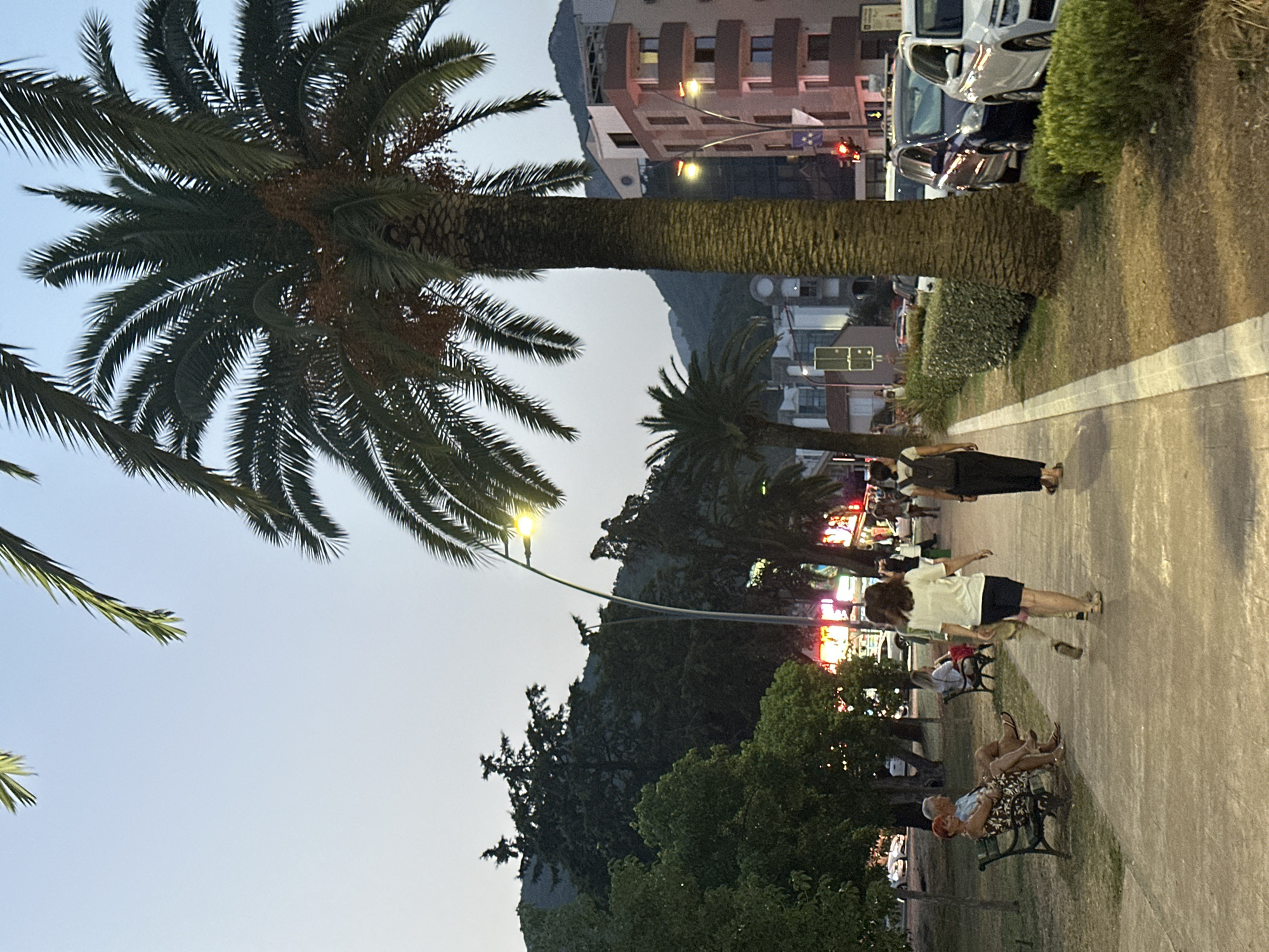 The image depicts a street scene in Budva, Montenegro, at dusk. A large palm tree dominates the foreground, with its fronds reaching towards the sky. A paved walkway runs alongside a grassy area with benches, where several people are seated and strolling. On the right side of the walkway, a street lined with buildings, cars, and a traffic light is visible. Neon signs glow from the businesses along the street, indicating a commercial area. The overall atmosphere is a blend of urban activity and tropical ambiance, typical of a coastal resort town.