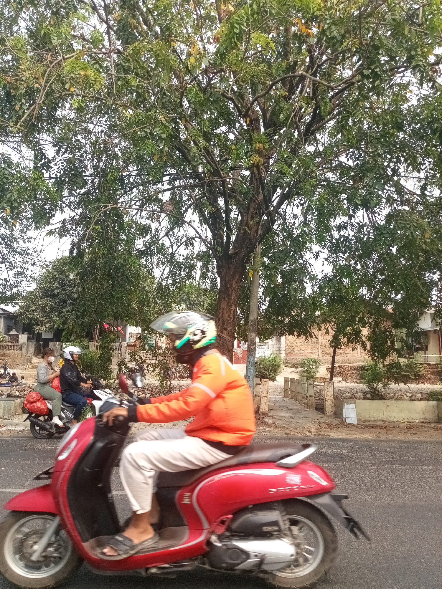 The image depicts a street scene in the city of Bekasi, Indonesia, with a focus on a person riding a red scooter in the foreground. The rider is wearing an orange jacket and a helmet with green and yellow accents, and light-colored pants. The scooter is in motion, with a blurred background indicating movement. Behind the scooter, another scooter is visible carrying two individuals, one wearing a white helmet and the other a mask. The environment features lush green trees with visible branches and leaves, along with buildings and a paved road. The overall scene suggests a typical day in an urban setting with moderate pedestrian and vehicle activity.
