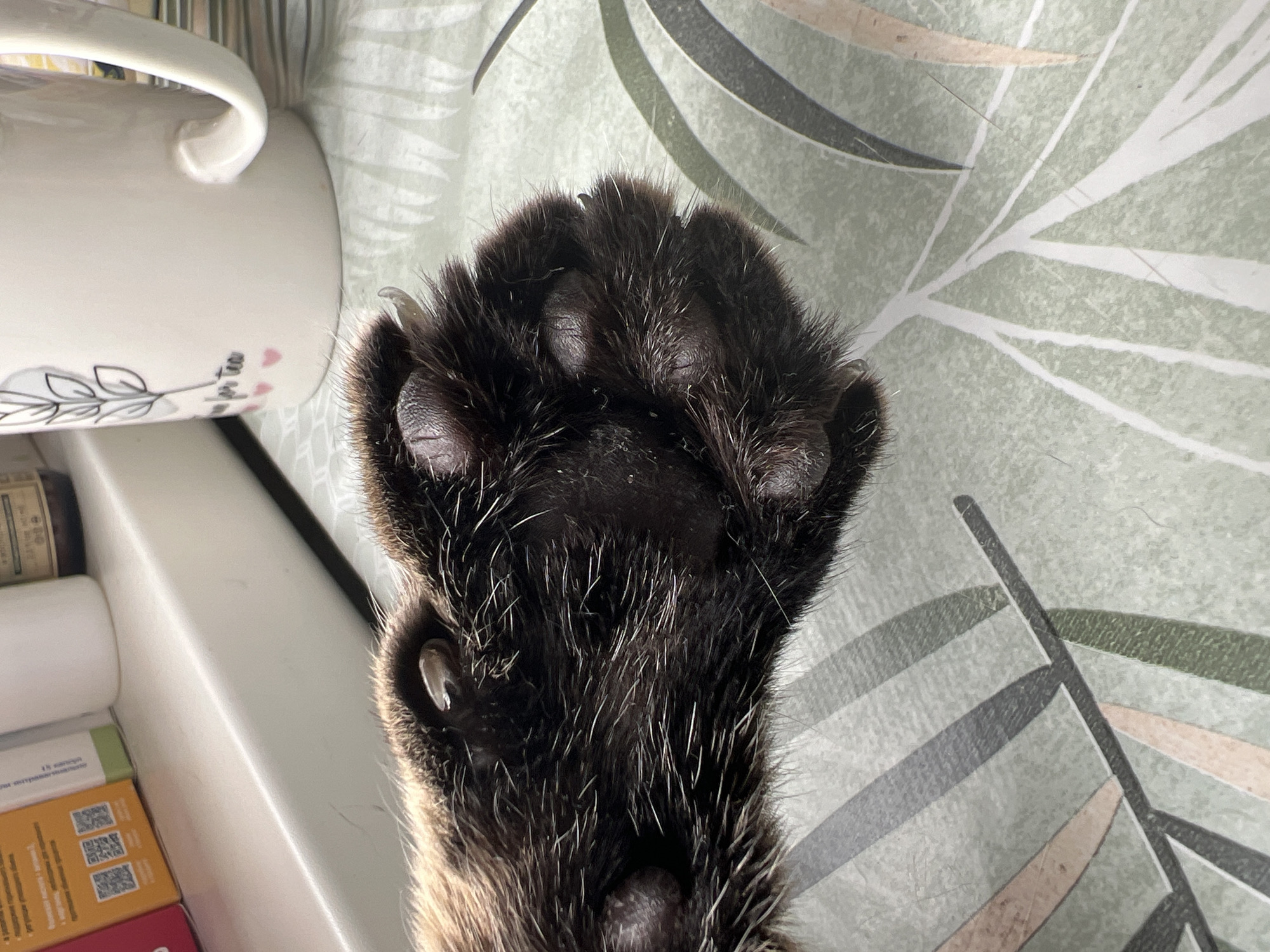 The scene depicts a domestic indoor environment in Izhevsk, Russia. A dark-furred feline paw, exhibiting dark paw pads and partially extended clear claws, is positioned centrally, resting on a light green surface with a pattern of white, grey, and pale pink/orange botanical elements. In the upper right quadrant, a white ceramic mug with a black line-art plant design and small pink hearts is visible. Behind the mug and to the left, a white windowsill supports an orange cardboard box with visible Russian text and QR codes, a white opaque bottle, and an amber-colored bottle, among other less discernible items. The area is illuminated from an unseen source, casting soft light across the objects.