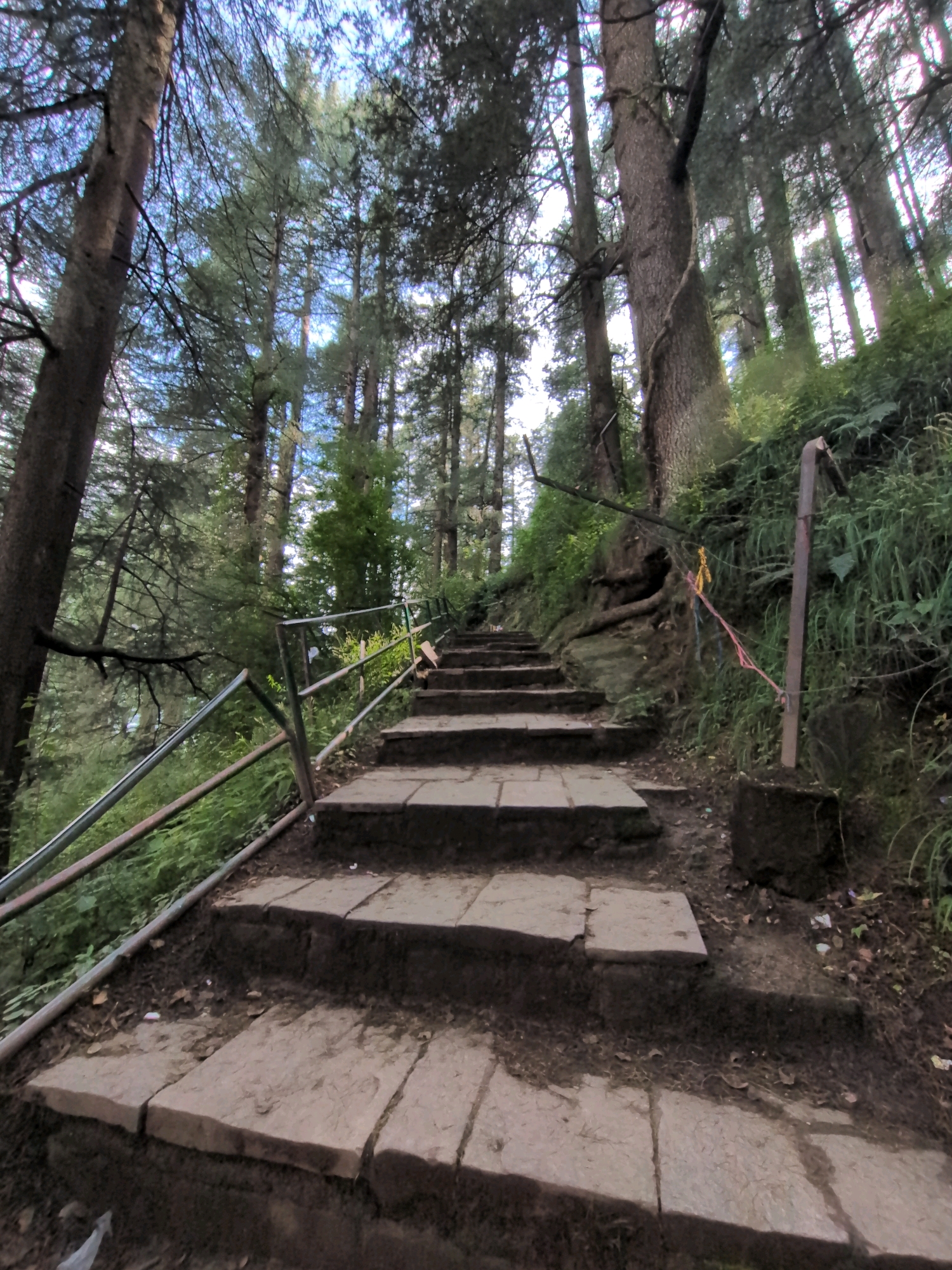A stone staircase winds upwards through a dense forest of tall, mature trees, likely in the mountainous region of Manali, India. The path is partially lined with a metal railing on the left and a rustic wooden post with colorful ribbons tied to it on the right. The ground alongside the steps is covered in dark soil, leaf litter, and some scattered debris. The trees have thick, rough bark and their branches reach towards a bright, overcast sky, creating a dappled light effect on the forest floor. Lush green foliage and undergrowth surround the path, indicating a humid, natural environment. The perspective of the photograph is low, emphasizing the ascent of the stairs and the grandeur of the surrounding trees.
