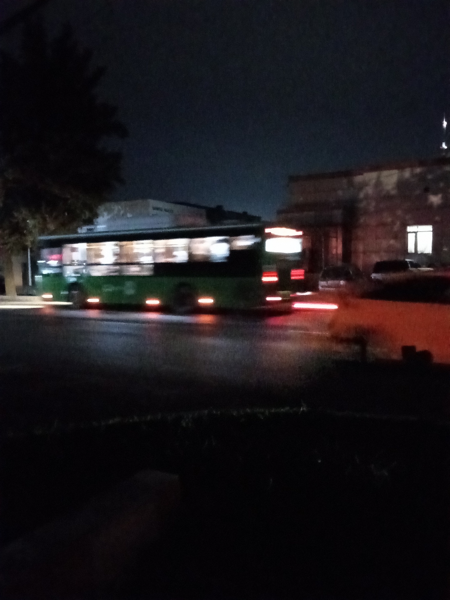 A green public transport bus is driving on a road at night. The bus has its headlights and interior lights on, illuminating the windows. Several red lights are visible on the side and rear of the bus. The road appears wet, reflecting the lights. In the background, there are buildings with illuminated windows. A tree is visible on the left side of the image. The scene is likely in Bishkek City, Kyrgyzstan, given the information provided.