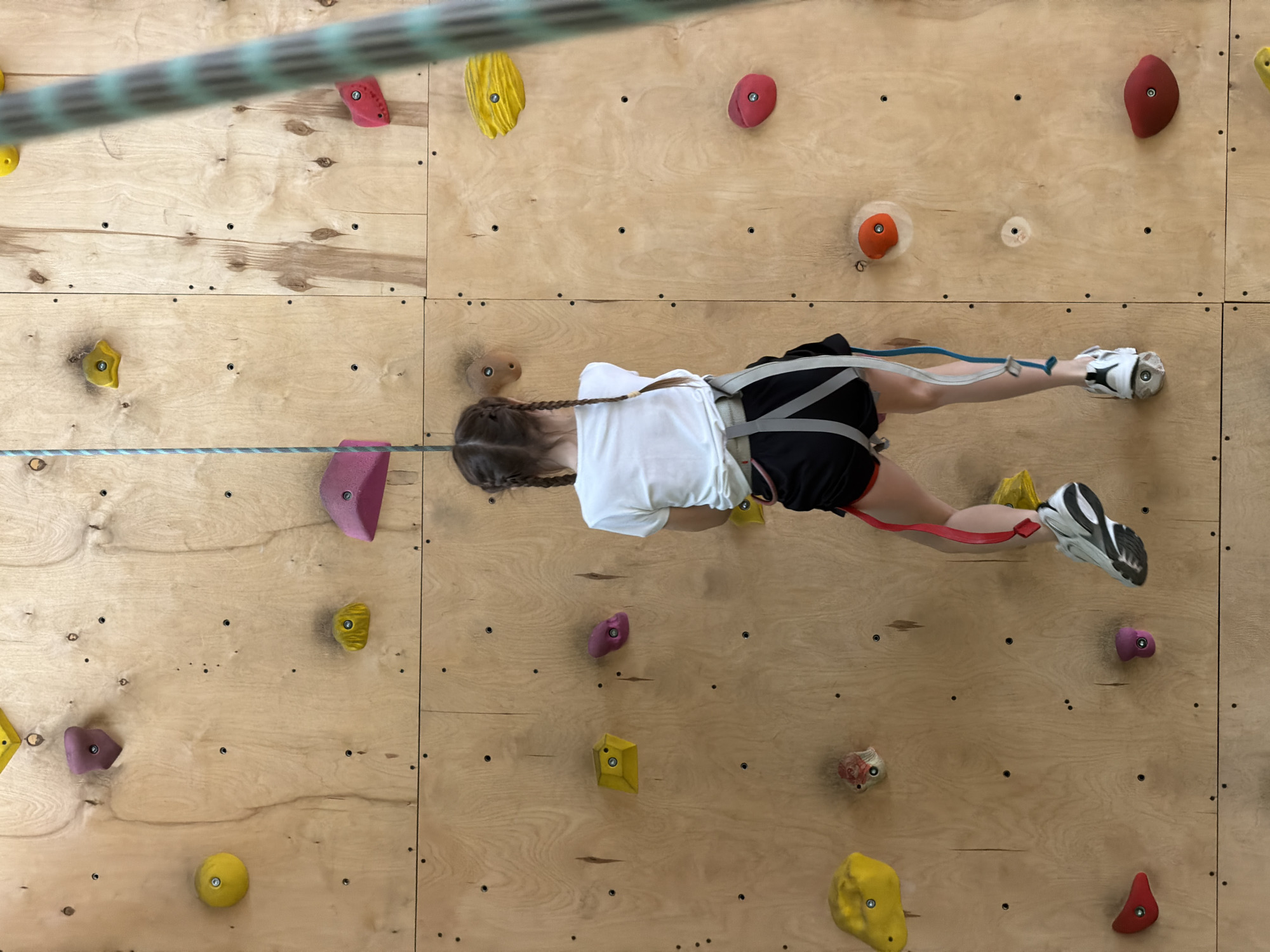 An overhead shot captures a young person, likely a child or teenager, actively engaged in indoor rock climbing. The individual is positioned horizontally against a wooden climbing wall, suggesting a traverse or a dynamic climbing movement. They are dressed in a white short-sleeved t-shirt, dark shorts, a safety climbing harness with blue and black straps, and white athletic shoes with black soles. Their hair is styled in two braids, which are visible against the light-colored wall.
The climbing wall is constructed from light-toned wooden panels, which are dotted with numerous brightly colored climbing holds of various shapes and sizes in yellow, red, orange, and purple. A blue and white patterned climbing rope is visible in the frame, extending diagonally across the upper left and horizontally near the climber's feet, indicating they are secured for safety. The scene depicts a moment of focused athletic activity within an indoor climbing gym or facility. No specific time of day or weather can be determined. No discernible text is visible in the image. The activity takes place in Izhevsk, Russia.