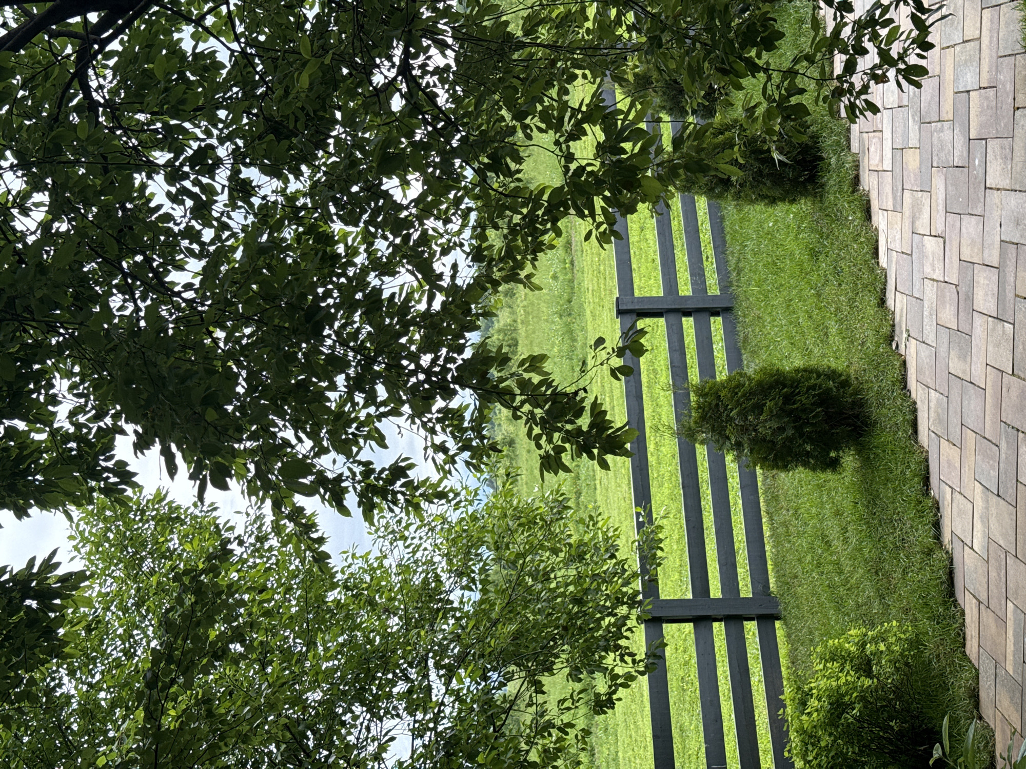 The image displays an outdoor scene characterized by lush greenery and architectural elements. The upper portion of the frame is dominated by the dense, bright green foliage of trees, with scattered patches of a light grey, overcast sky visible through the leaves. In the mid-ground, a dark grey or charcoal-colored wooden fence, composed of vertical posts and three horizontal rails, stretches across the width of the image. Beyond this fence lies an expansive, vivid green field, appearing freshly mown, which extends towards a distant, hazy tree line or low hills beneath the muted sky.
The foreground features a neatly manicured lawn bordering a paved patio or walkway. A small, conical evergreen shrub stands centrally on the lawn, slightly to the right of the leftmost fence post. Another broader, lower green shrub is partially visible on the far left edge of the lawn. The patio, occupying the bottom fifth of the image, is constructed from rectangular pavers laid in a pattern, exhibiting a blend of earthy tones including beige, grey, and light brown. The edge where the patio meets the grass is sharply defined and slightly curved. No individuals or animals are present in the scene.