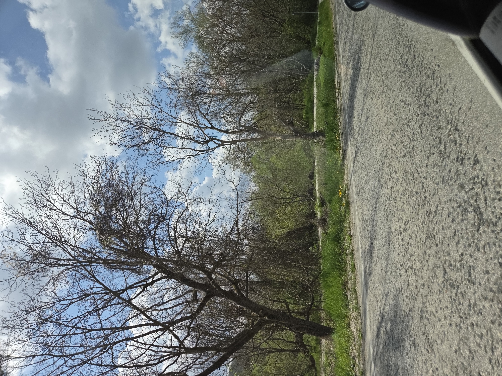 The image shows a view from inside a vehicle, possibly a car, traveling on an asphalt road. The road is gray and textured. To the right of the road is a patch of green grass with scattered yellow flowers. Beyond the grass, trees line the roadside, some with bare branches reaching towards a blue sky with scattered clouds. The environment suggests a rural or suburban area, but the specific location cannot be confirmed as Leshnitsa, Bulgaria without additional information. No people are visible in the scene. The vehicle is in motion.