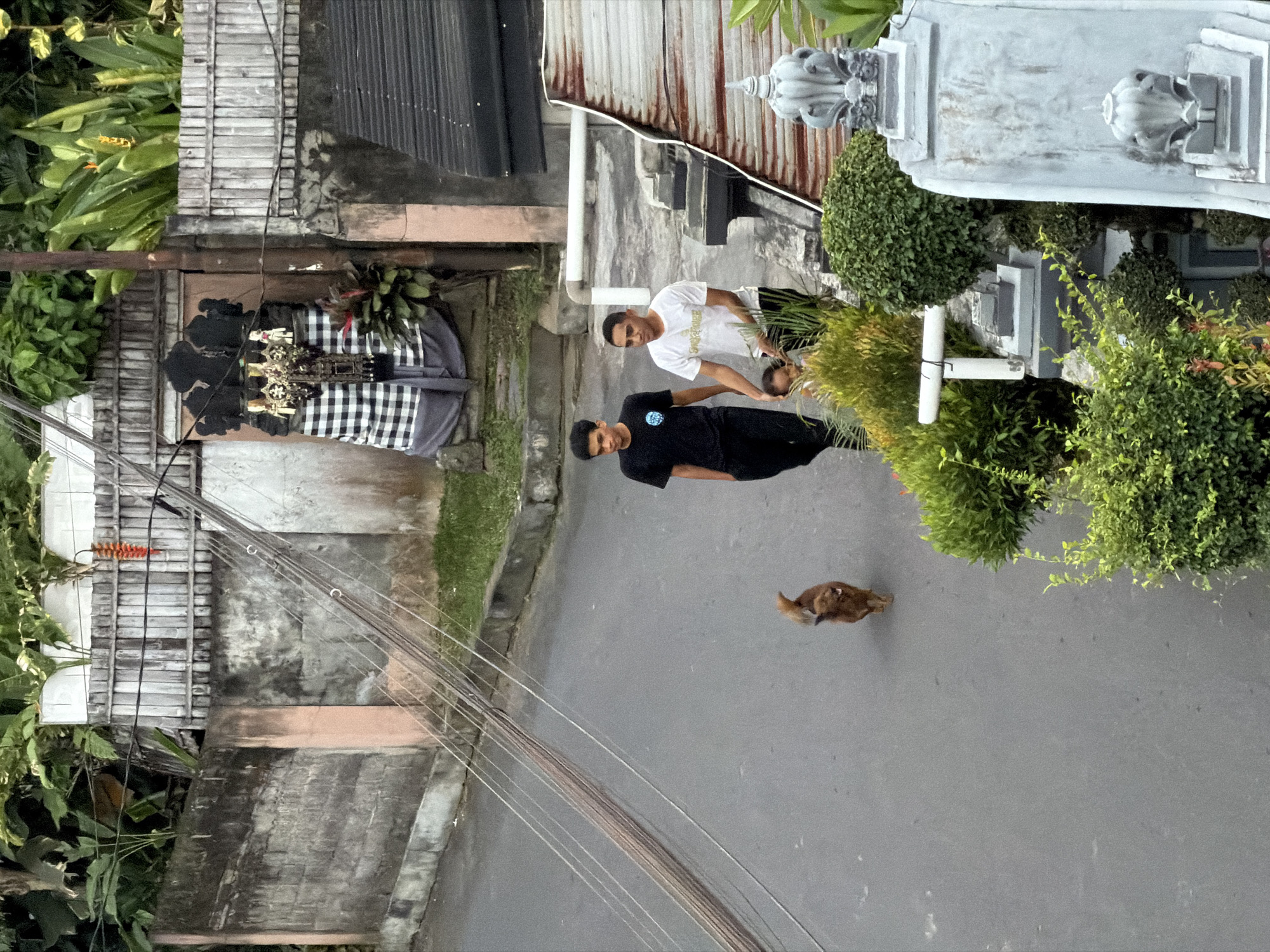 In North Kuta, Indonesia, two young men and a small dog are walking on a paved road. The man on the left wears a black t-shirt and black pants. The man on the right wears a white t-shirt with a graphic design and black pants. He is holding the hand of a small child wearing a light-colored shirt, who is walking between them. The dog, a reddish-brown breed, is walking ahead of them on the road. The scene takes place in a residential area with a concrete wall and fence visible in the background, adorned with a traditional Balinese shrine draped in black and white checkered cloth. Lush green foliage and trees surround the area, and electrical wires are strung overhead. The road surface is gray asphalt, and there is a grassy embankment to the right of the road.