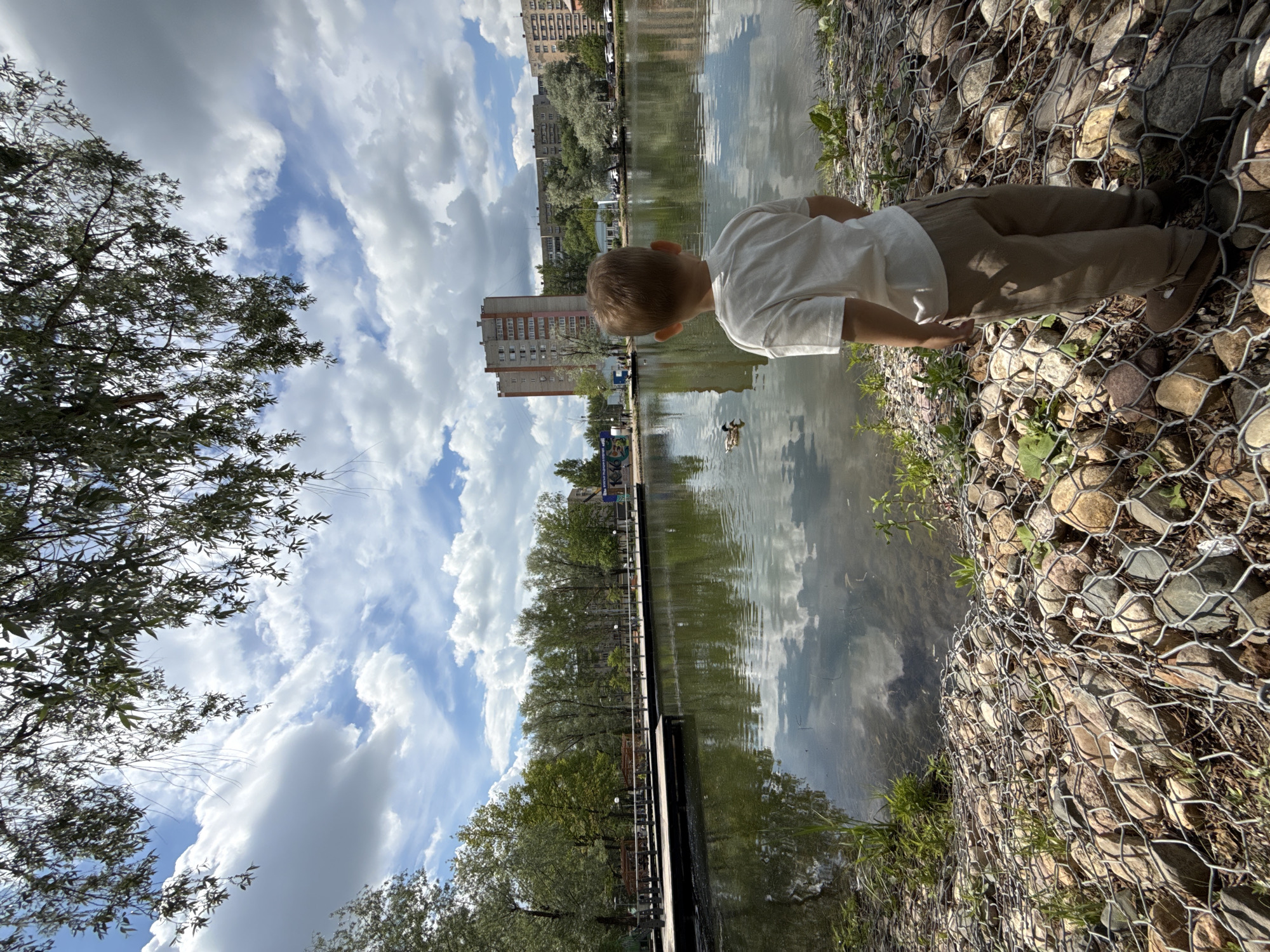A sunny daytime scene depicts a young boy observing a body of water in what appears to be an urban park in Rusanovo, Russia. The boy, wearing a white t-shirt and khaki pants, is positioned on the right side of the frame, leaning forward to look intently into the calm water. His back is to the viewer, highlighting his curiosity.
The foreground features a bank reinforced with a gabion structure, consisting of rocks contained within a wire mesh, which extends along the water's edge. Sparse green vegetation grows on and around this embankment.
The wide expanse of water, possibly a lake or river, occupies the middle ground. Its surface reflects the bright, partially cloudy sky and the trees lining the opposite bank, creating a tranquil, mirror-like effect. Two ducks are visible swimming in the water near the far bank.
Across the water, a wooden boardwalk or path runs parallel to the bank, with mature green trees providing shade. Beyond the trees, several multi-story residential buildings are visible under the bright blue sky dotted with fluffy white clouds, indicating an urban or suburban setting. The weather is clear and bright, suggesting a pleasant day. No legible text is visible in the image.
