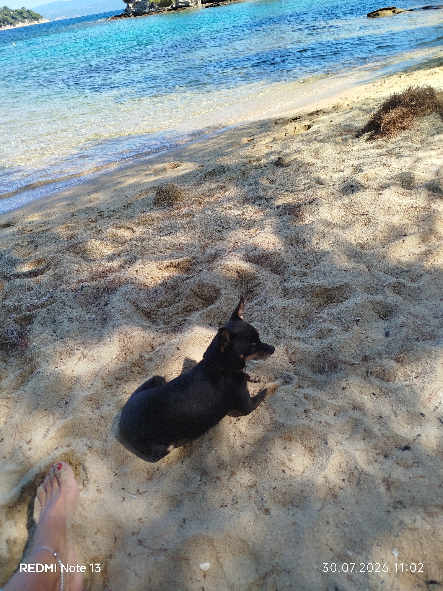 A small black dog is lying on a sandy beach in Sithonia, Greece, with a person's feet in the foreground. The dog is looking to the right and is relaxed. The beach is clean and the water is clear and blue. The sun is shining, casting shadows on the sand. The image was taken on July 30, 2026, at 11:02 AM.