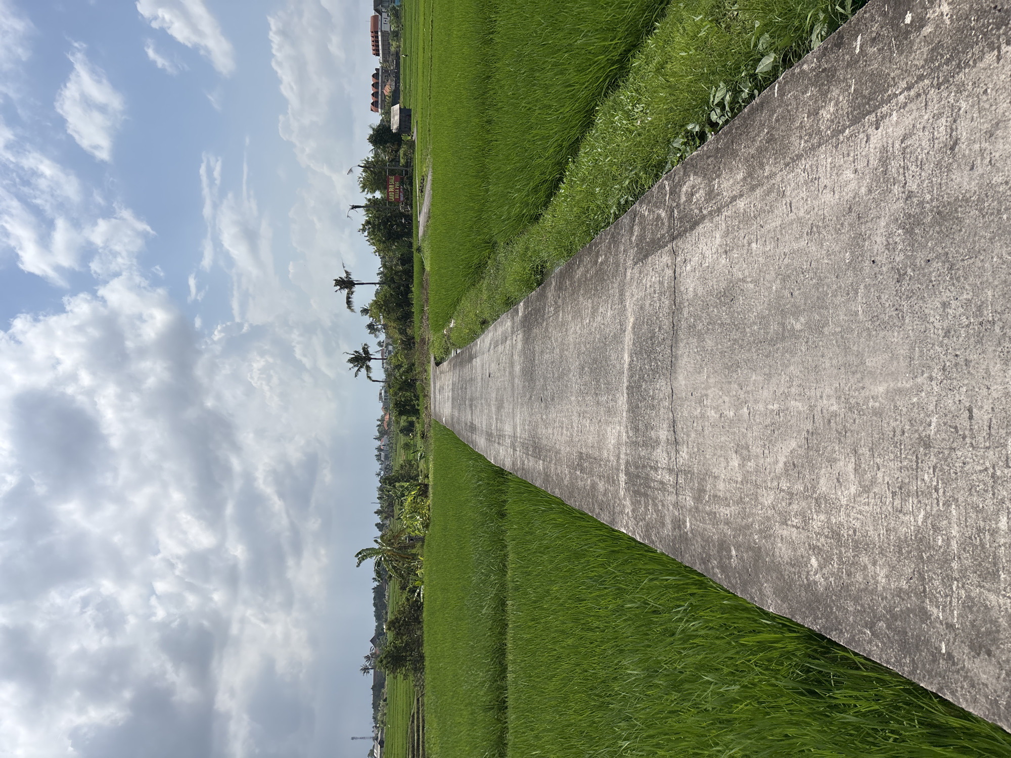 The image depicts a rural landscape with a paved pathway leading through lush green rice fields. The pathway, made of concrete, is positioned in the foreground, extending into the distance. On either side of the pathway are vibrant green rice paddies, characteristic of agricultural land. In the background, a few palm trees and scattered buildings, including some with reddish-orange roofs, are visible, suggesting a small village or settlement. A sign that reads "LAND FOR SALE VILLA POOL" is situated in the middle ground, indicating commercial activity or development in the area. The sky above is partly cloudy, with a mix of gray and blue. The scene is set in a tranquil, natural environment, likely in the outskirts of Kediri, Indonesia, given the typical scenery of such regions. There are no people or animals directly visible in the frame. The overall impression is one of a serene agricultural setting on a bright day.