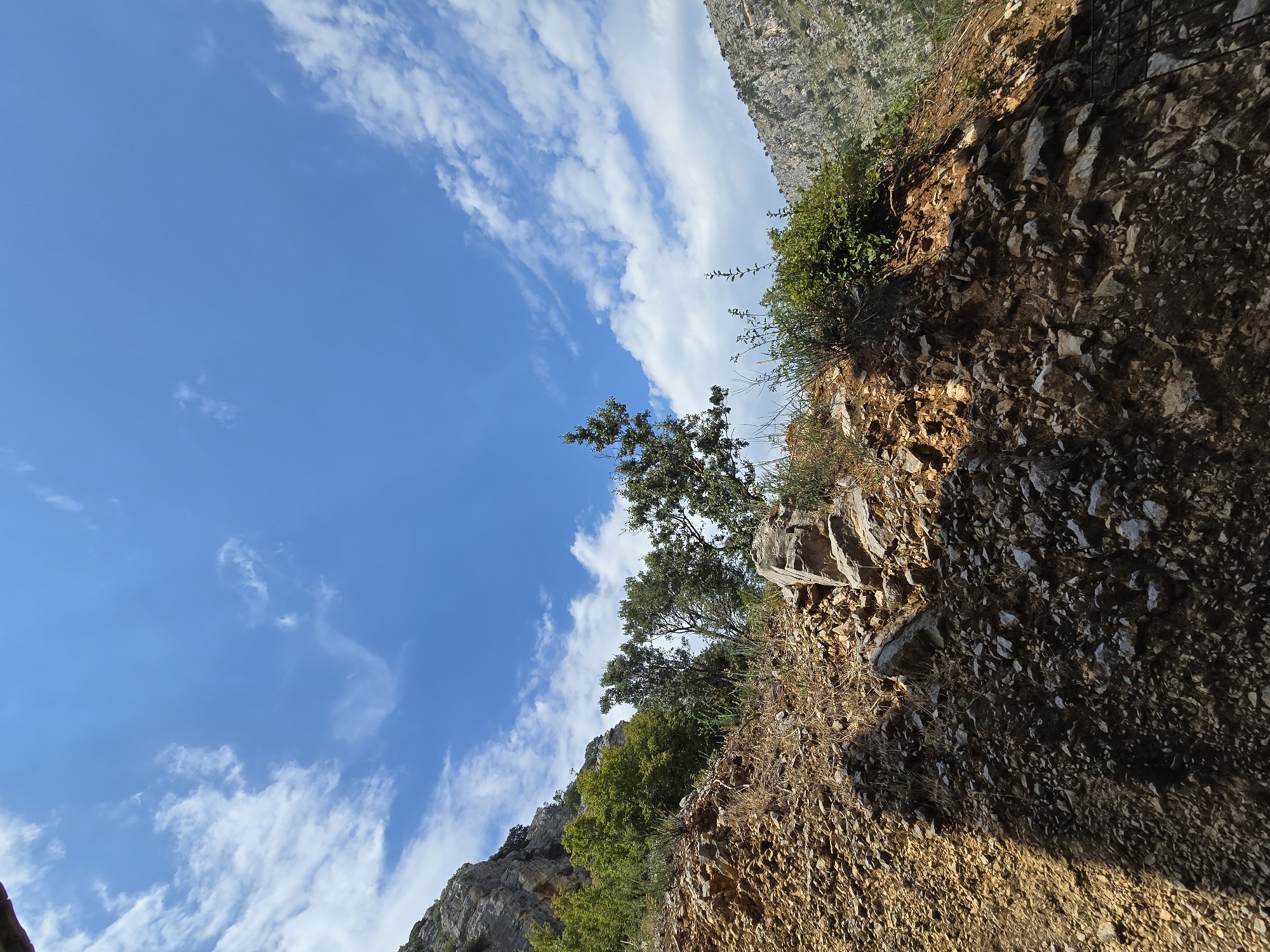 A low-angle, wide shot captures a rocky hillside under a bright blue sky scattered with white clouds. The foreground is dominated by a steep, brown, and gray rocky incline, with sparse dry vegetation clinging to it. Sunlight casts a dark shadow on the lower left portion of the hillside. In the midground, a few green trees and shrubs grow amongst the rocks, with a larger rock formation visible in the center. The background reveals more rugged, grey, mountainous terrain on the right side, and a sheer rock face with greenery on the left. The scene appears to be a natural, undeveloped landscape, potentially a hiking trail or a mountainous area. The image does not contain any people or identifiable structures, making it impossible to determine a specific location within Podgorica, Montenegro.