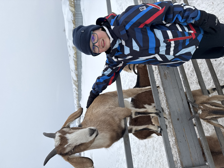 In Zaosinovo, Russia, a young male child stands outdoors in a snowy environment. He is wearing a dark blue knit beanie, green-framed glasses, a multi-colored winter jacket with geometric patterns (blue, black, white, red), black gloves, and black pants. The child is positioned to the right of a grey metal fence, smiling towards the viewer, with his gloved left hand resting on the back of a goat.
A light brown goat with a white face, brown markings, long floppy ears, and dark horns is the primary animal subject. It stands with its front hooves on the top rail of the metal fence, facing slightly towards the left of the frame and looking towards the viewer. Behind and below this goat, at least two other goats are partially visible behind the fence; one is brown and white, and another brown goat with horns is seen at the bottom of the frame. The ground is covered in snow. In the background, beyond the snowy field and fence line, low-lying structures with snow-covered roofs are visible under an overcast sky.
