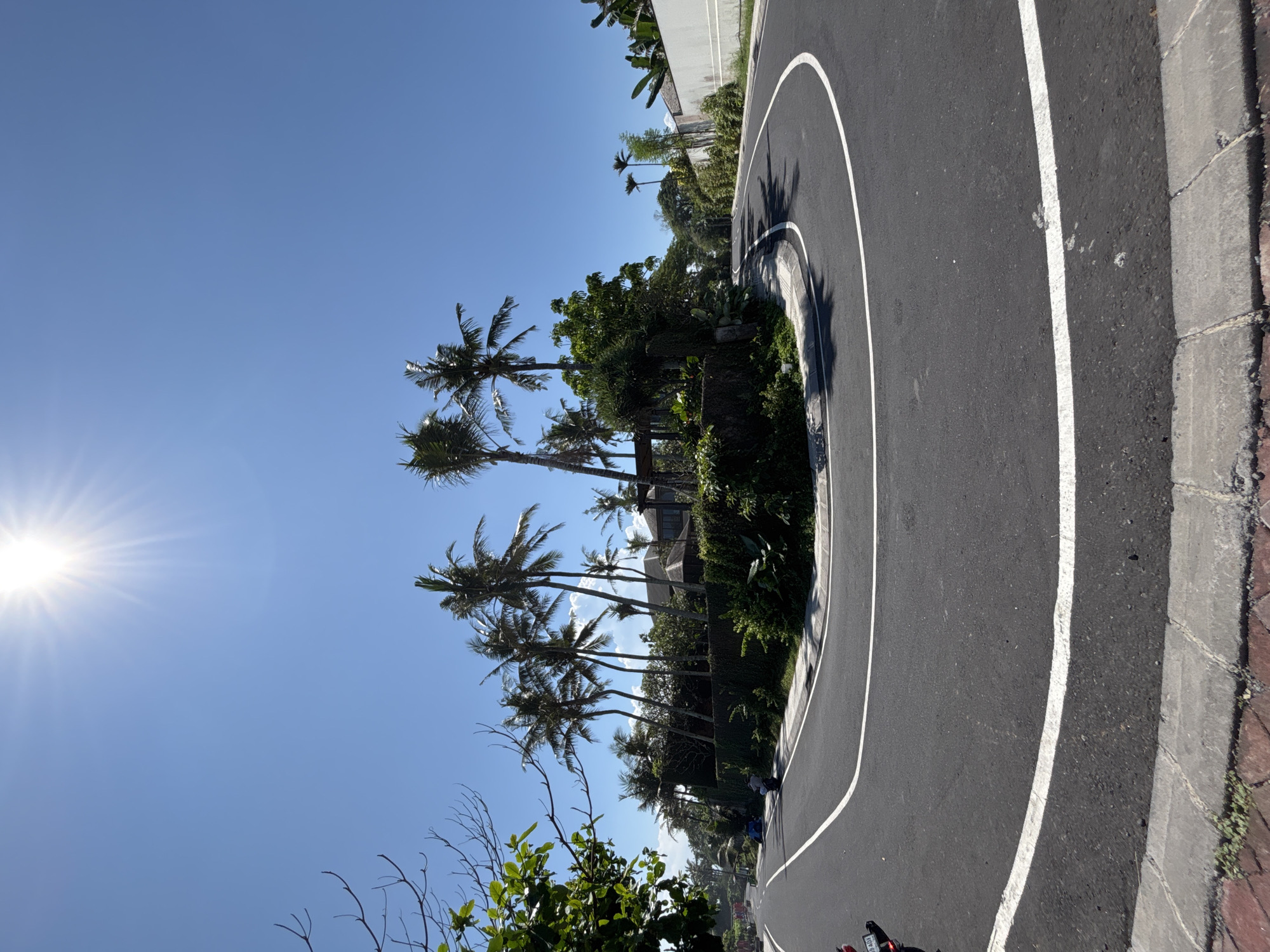 The image shows a curved section of asphalt road in Mengwi, Indonesia. The road is bordered by a white line. Adjacent to the road are palm trees and lush vegetation. The sky is bright blue with the sun visible in the upper left corner. A concrete curb runs along the road's edge.