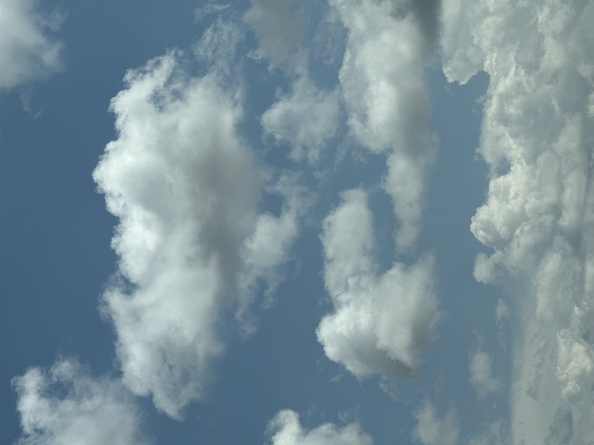 A bright, blue sky is filled with fluffy, white cumulus clouds. The clouds are scattered throughout the frame, with some appearing closer and more defined, while others are more distant and wispy. The lighting suggests it is daytime.