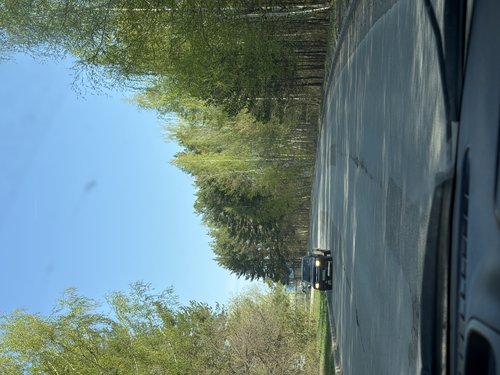 The image shows a car driving on a road, likely in the city of Chaikovsky, Russia, based on the license plate of the oncoming vehicle. The road is surrounded by trees on both sides. The sky is visible in the background. The photo appears to have been taken from inside another vehicle.