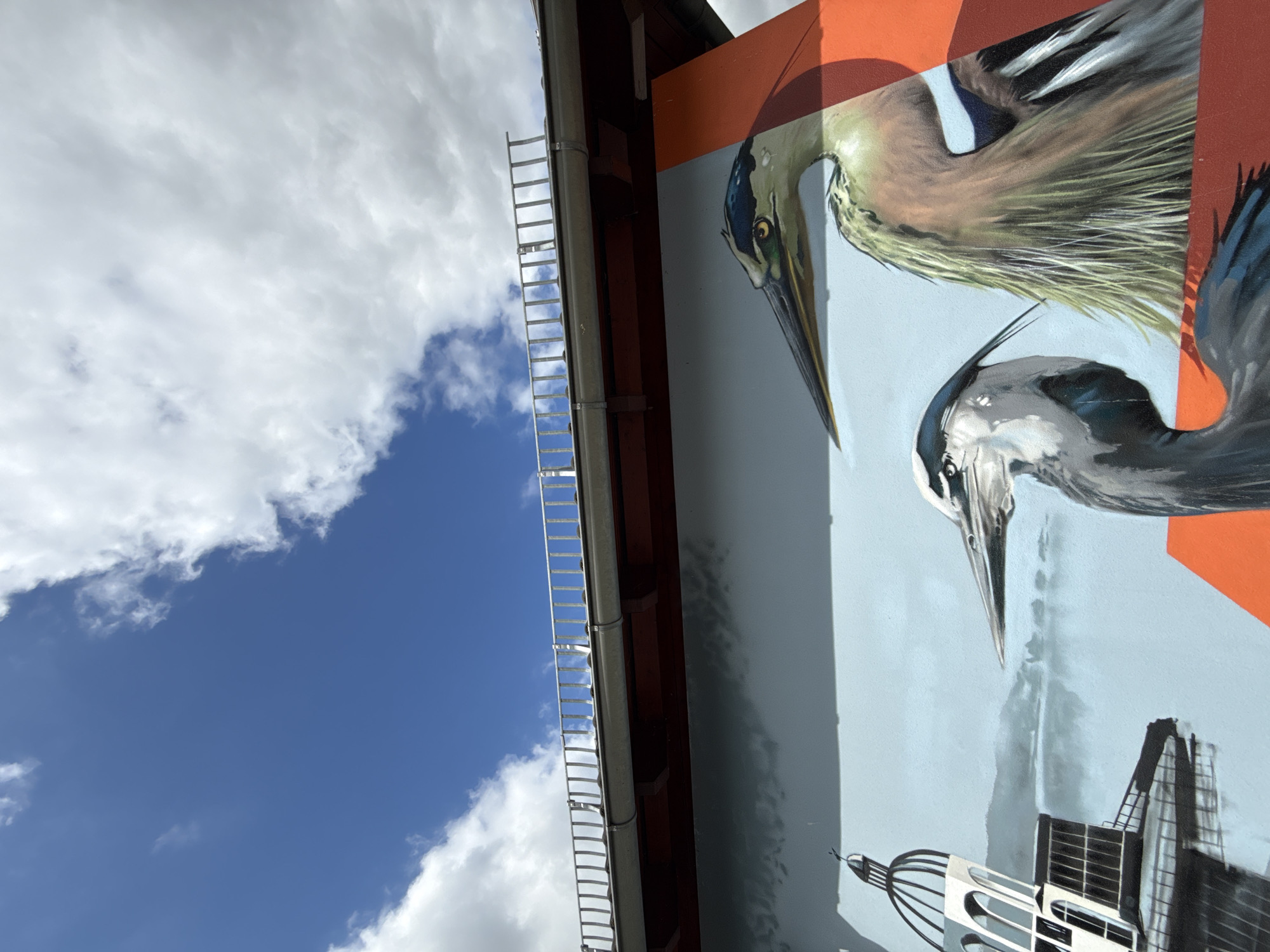 The image is a photograph of a mural on a building in Großpösna, Germany, located at the public swimming lake. The mural depicts two herons against a backdrop of a calm body of water and distant hazy hills. To the left of the herons, there is a stylized architectural structure resembling a domed building with arched windows, possibly a representation of the "Pyramiden" at the lake. Above the mural, a section of an overpass or bridge is visible with a metal railing and a dark, reddish underside. The sky above is a vibrant blue with scattered white clouds. The mural's vibrant colors and detail suggest it is a recent and prominent piece of public art.