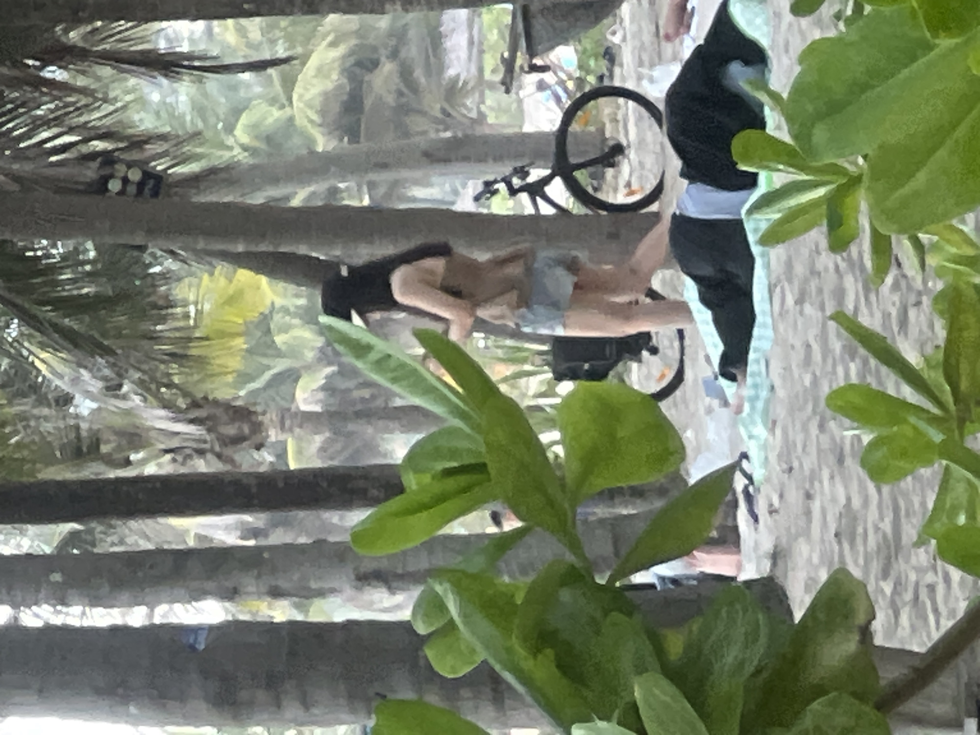 This image captures a scene in Đà Nẵng, Vietnam, likely during daytime. The primary subjects are two individuals and a bicycle. One person is seen from the side, wearing a black hoodie and dark pants, standing near the bicycle. Their posture suggests a casual stance, perhaps resting. The other individual is partially visible, lying down and resting on what appears to be a tree trunk, with their head supported by their arm and wearing a light-colored top and denim shorts.
The setting appears to be a natural environment with prominent palm trees, evidenced by the textured bark and fronds visible in the foreground and background. The ground is sandy, suggesting a beach or coastal area. Lush green foliage is present, framing the scene on the right side of the image and adding to the tropical ambiance. The presence of a bicycle indicates potential recreational activity or a mode of transport. The lighting suggests it is daytime, possibly late morning or afternoon, with the sunlight filtering through the palm fronds. No visible text is present in the image. The overall mood seems relaxed and leisurely, consistent with a vacation or a day spent outdoors.