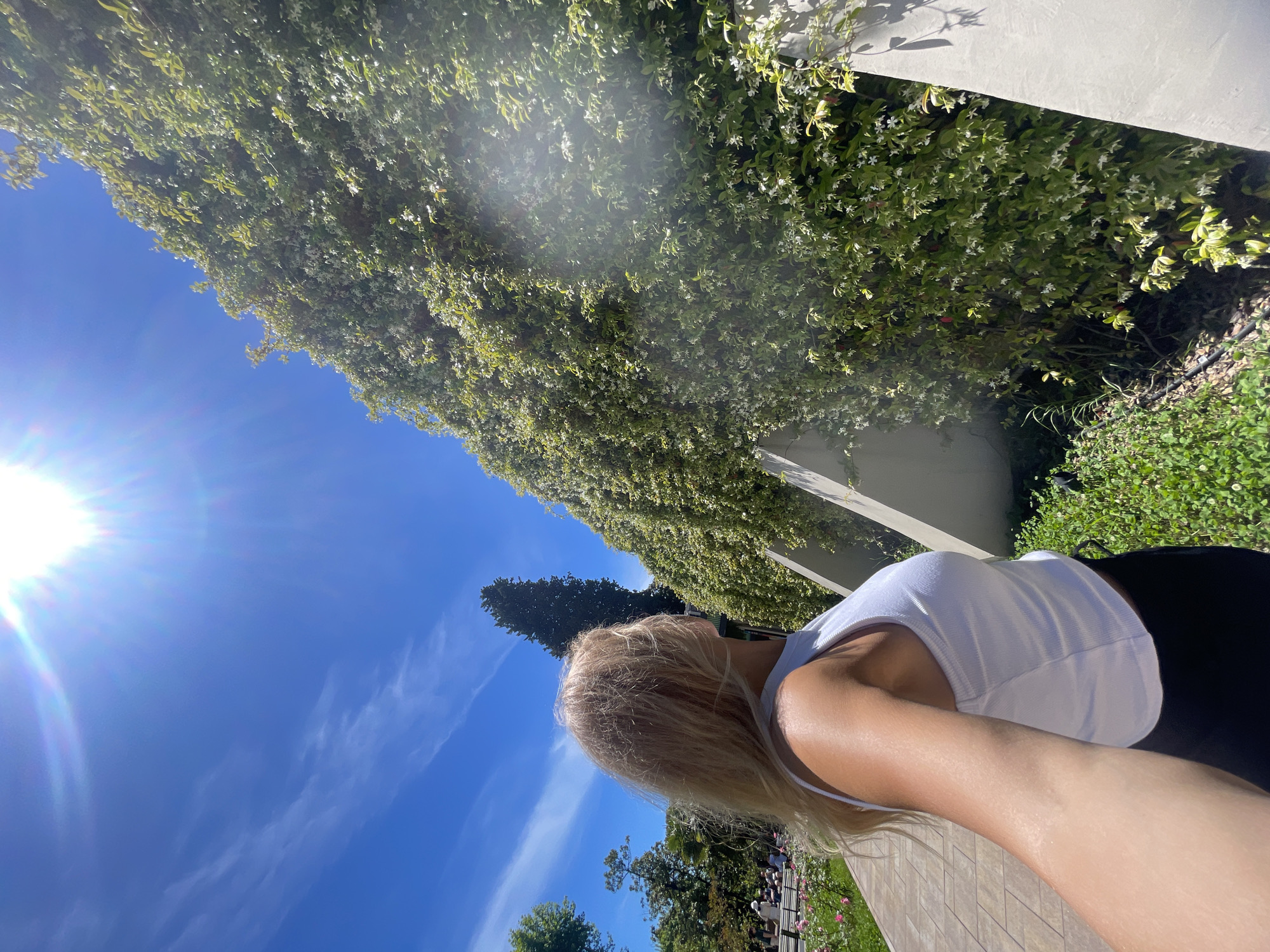 This media file presents an outdoor scene on a very bright, sunny day, likely in a garden or park in Sochi, Russia. The image is tilted, giving an upward-looking perspective.
The main subject is a person, seen from behind, with long, light blonde hair. They are wearing a white ribbed tank top and dark-colored bottoms. The person's arm is extended forward, suggesting they might be taking a selfie from a low angle or simply looking up at the sky and surrounding environment.
The setting is characterized by lush greenery and a clear blue sky. A significant portion of the image is filled with a wall or structure heavily draped in a climbing plant featuring dense green leaves and numerous small white flowers, possibly jasmine. Strong sunlight creates a prominent lens flare in the upper left corner of the sky, indicating direct sun exposure. The sky itself is a vibrant blue with a few wispy clouds.
In the background, beyond the person and the vine-covered wall, there are other trees, including a tall, dark conifer-like tree. Further into the distance, elements of a public garden or park are visible, including what appear to be rose bushes with pink flowers, garden benches, and faint figures of other people enjoying the outdoor space. The person stands on a light-colored paved surface.
The notable details include the bright daylight, clear weather, and the abundance of blooming plants, suggesting a pleasant, warm season. No visible text is present in the images.