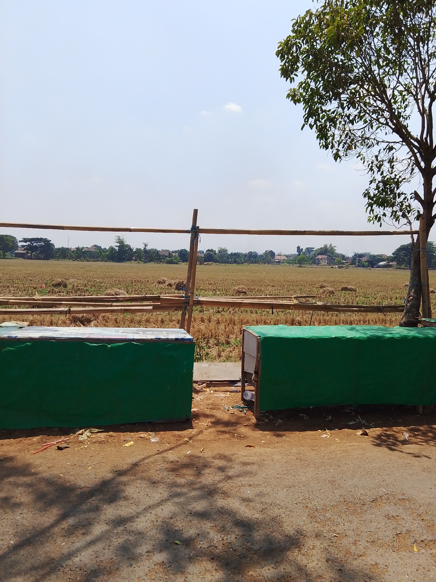 The image depicts an outdoor scene with a parched, golden field in the background under a clear, light blue sky. A simple bamboo fence stretches across the mid-ground, separating the foreground from the field. In the foreground, two rectangular objects covered in green fabric are present. One is positioned on the left and another on the right, with a gap between them. A tree with green leaves stands on the right side of the frame, partially obscuring the sky. The ground in the foreground appears to be a mix of dirt and asphalt with scattered debris. The setting suggests a rural or semi-rural area.
