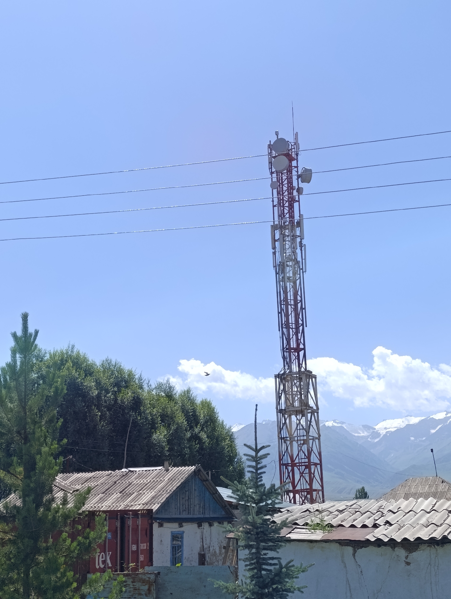 A cell tower stands tall against a clear blue sky, its red and white lattice structure adorned with multiple antennas and dishes. In the foreground, a lush green pine tree and dense foliage frame a collection of weathered buildings. One structure appears to be a repurposed shipping container, its red exterior bearing faded white lettering. Adjacent to it, a house with a corrugated tin roof and a small blue-trimmed window suggests a rural setting. In the background, snow-capped mountains loom majestically, their peaks softened by a light haze. A few white clouds dot the sky, and a bird in flight can be seen near the horizon. The scene is located in the city of At-Bashy, Kyrgyzstan.