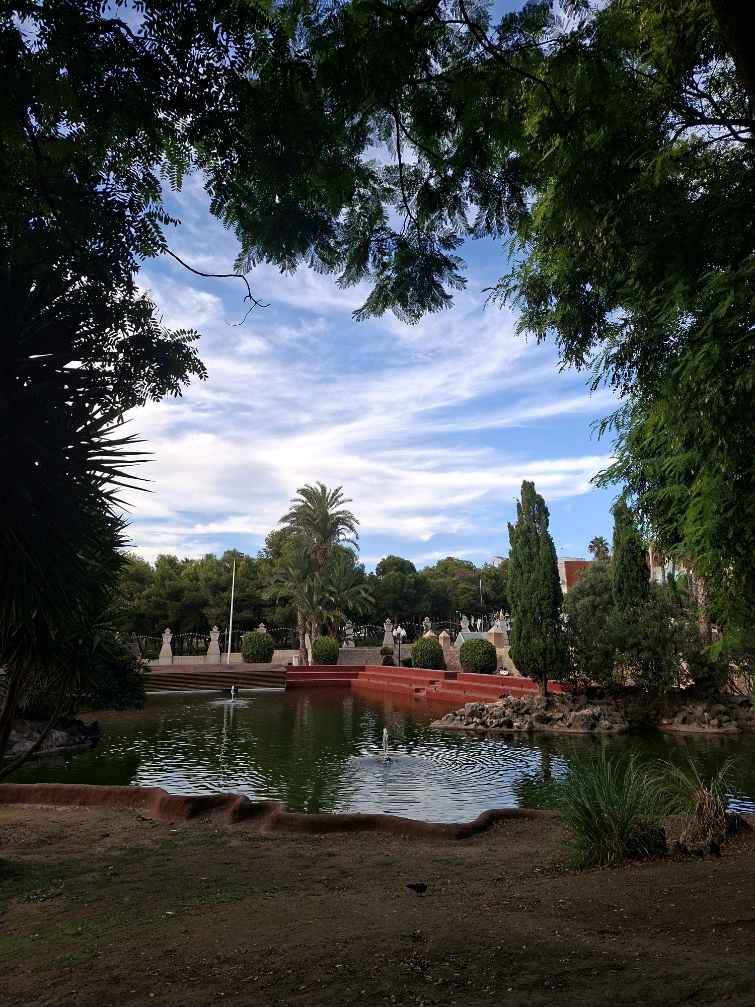 The image depicts a serene park scene, likely in Torrevieja, Spain, characterized by a tranquil pond and lush greenery. The pond, with its calm, dark green water, features two active fountains, their streams arcing gracefully upwards, creating gentle ripples on the surface. The pond is surrounded by a terra cotta colored border, which then transitions to a dirt and grass ground cover.
Behind the pond, a raised, red-tiered structure serves as a prominent architectural element, adorned with white sculptures or urns on pillars and decorative bushes. A tall, white pole stands near the center of this structure. Dense green trees and palms form a verdant backdrop, with a few notably tall, slender cypress trees positioned amongst them. The sky above is a vibrant blue, streaked with wispy white clouds, suggesting pleasant weather. The foreground is dominated by dark soil and patchy grass, with a lone pigeon visible. The scene is framed by the dark, leafy branches of trees, creating a sense of enclosure and natural beauty.